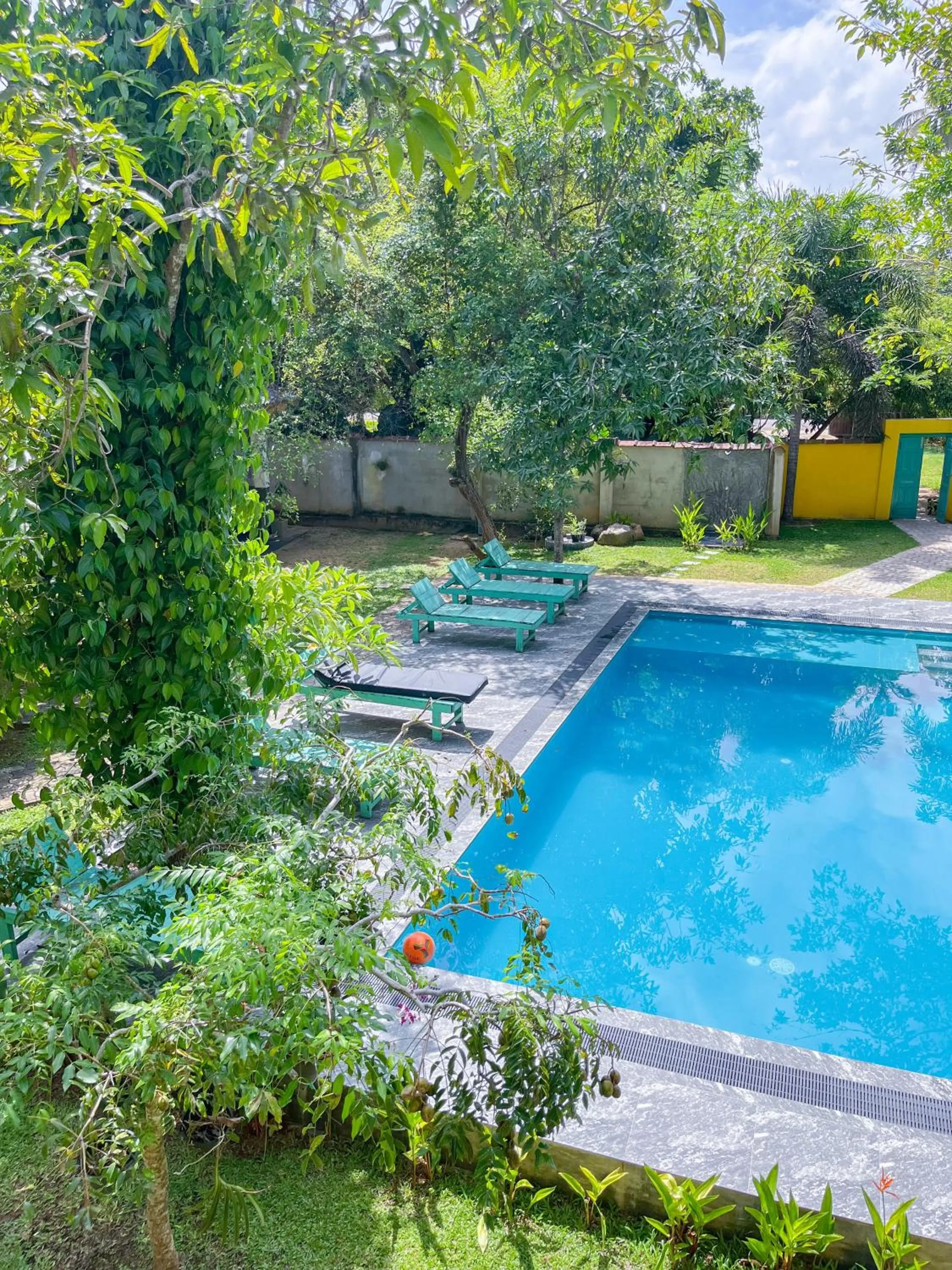 Garden in Easy Living