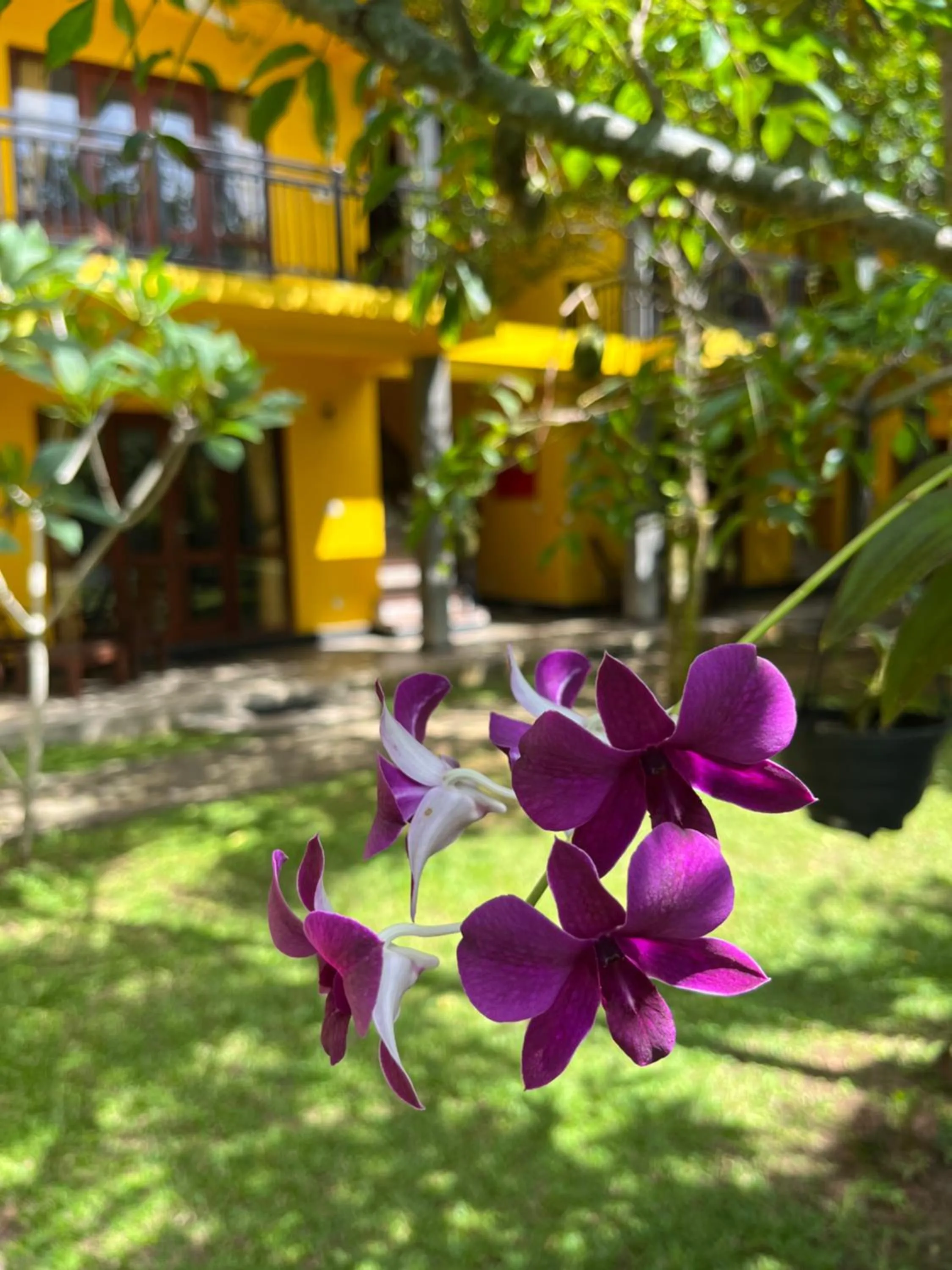 Property building in Easy Living