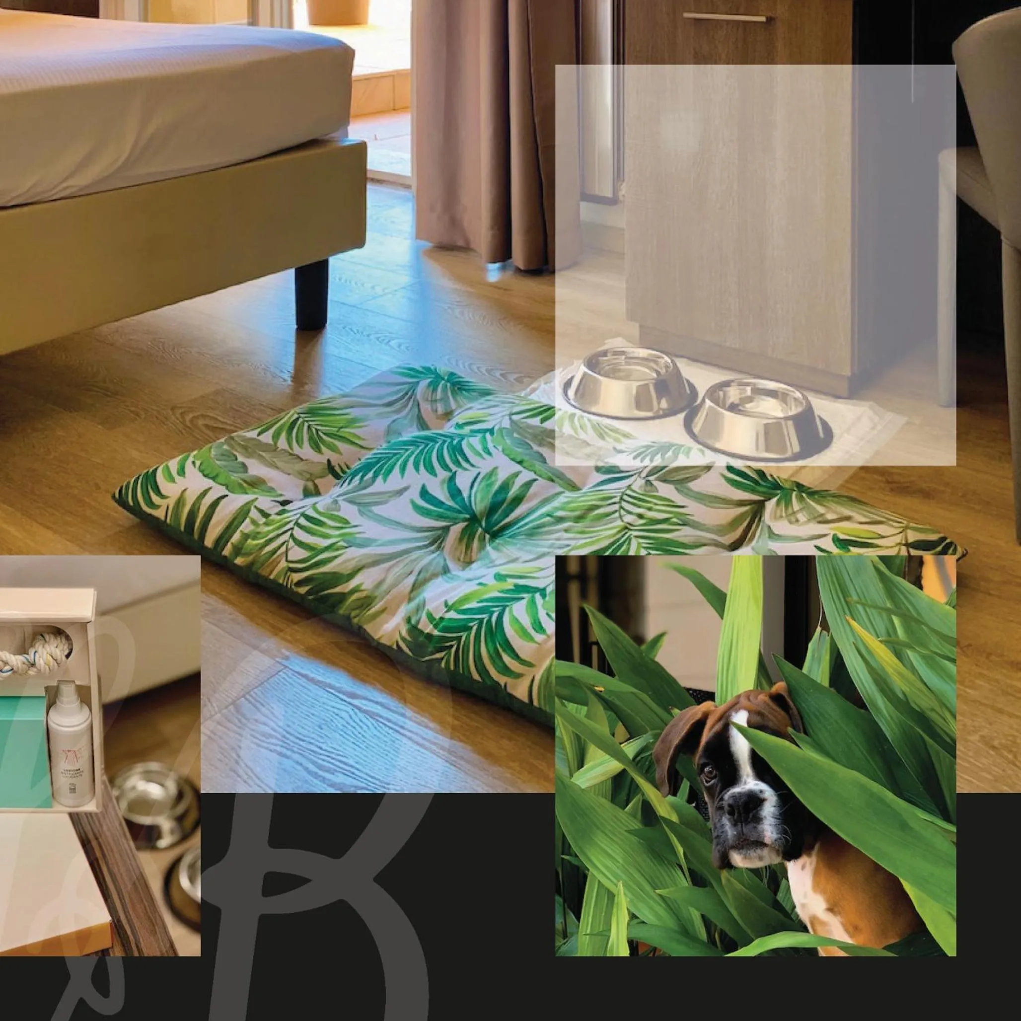 VIP, Bed in Hotel Brescia