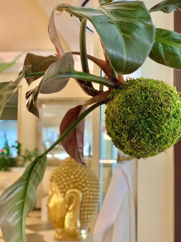 Decorative detail in Hotel Brescia