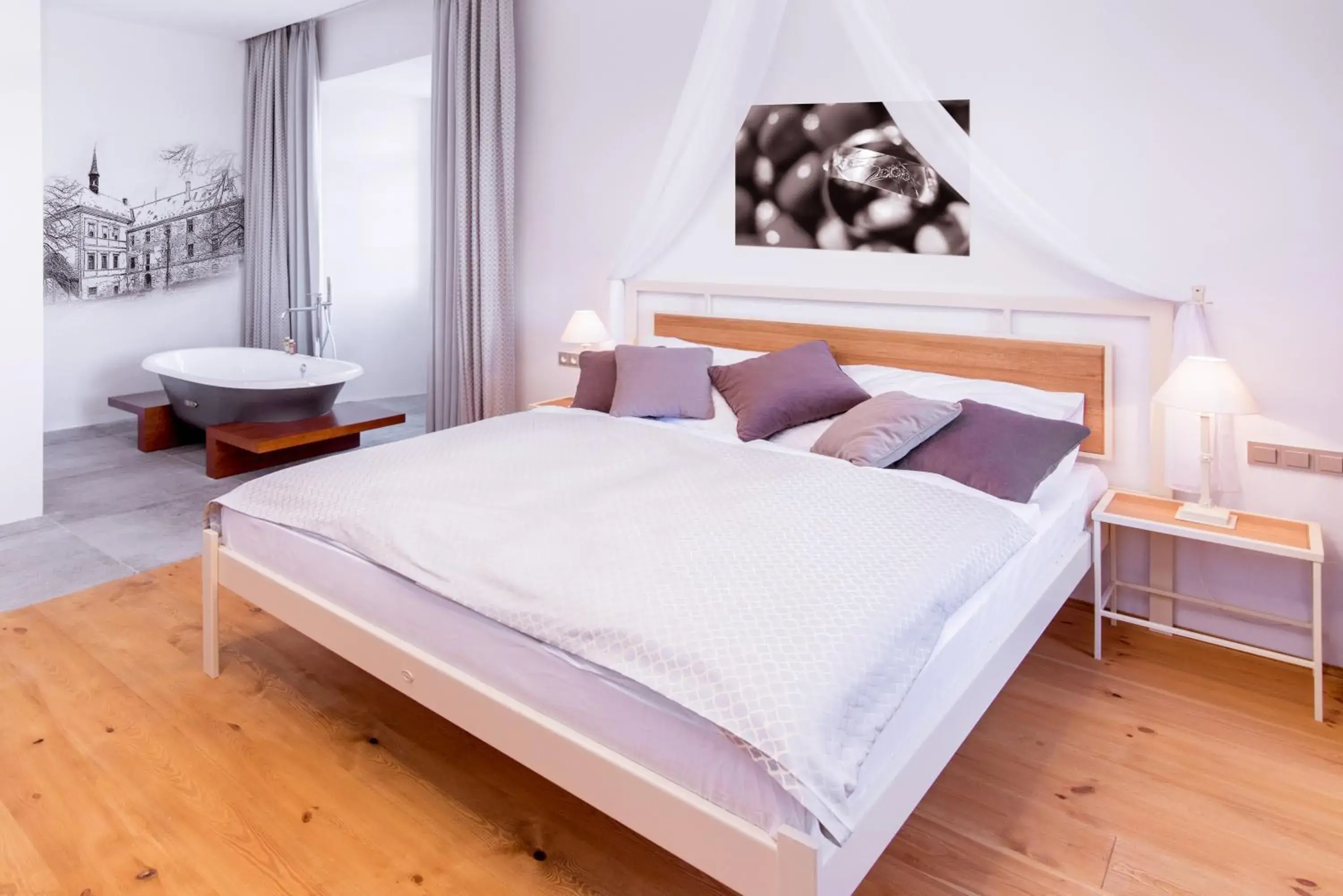 Deluxe Double Studio in Hotel Zámek Svijany Deluxe Double Studio in Hotel Zámek Svijany