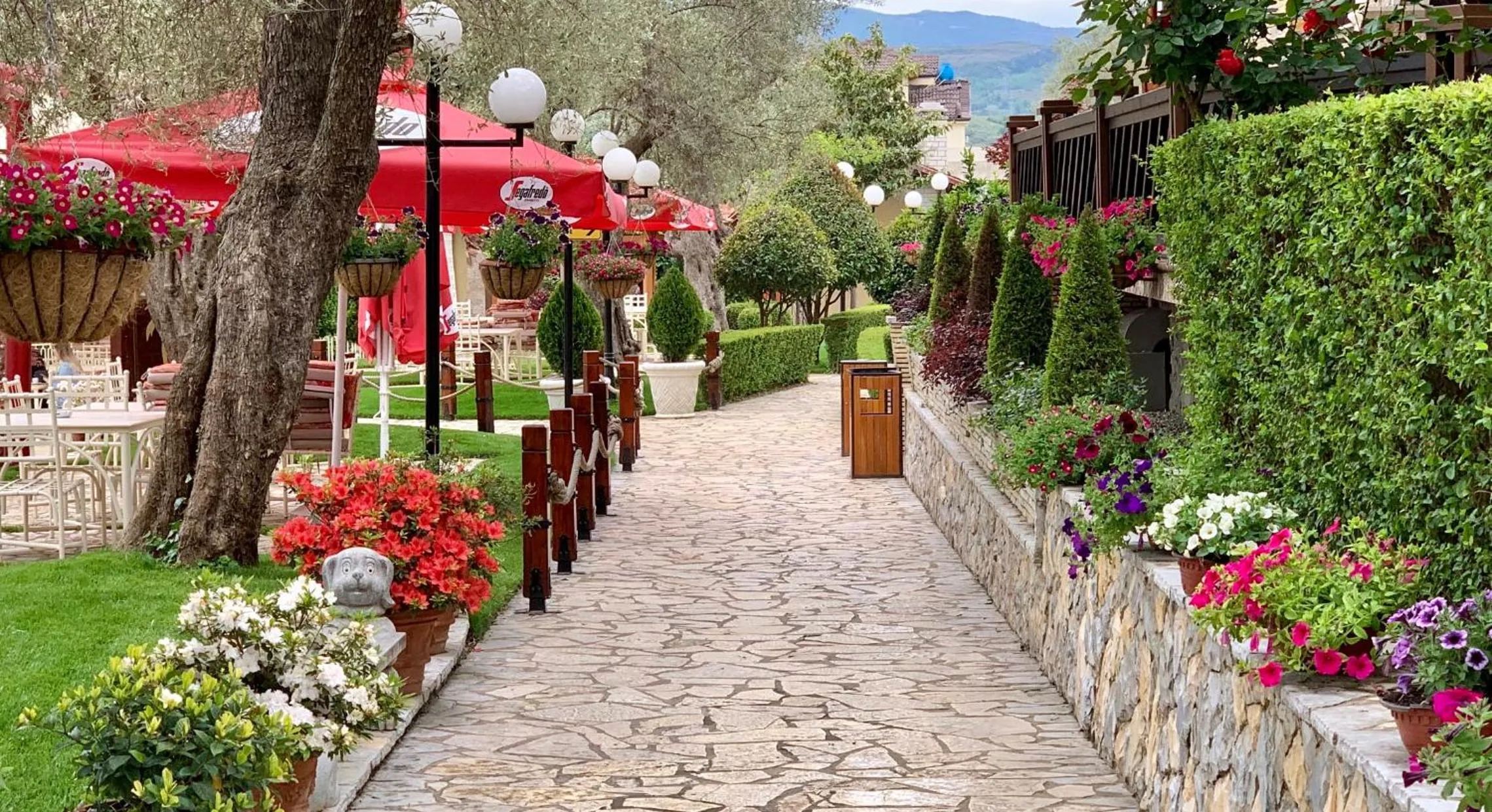 Garden in PalmaNova Resort