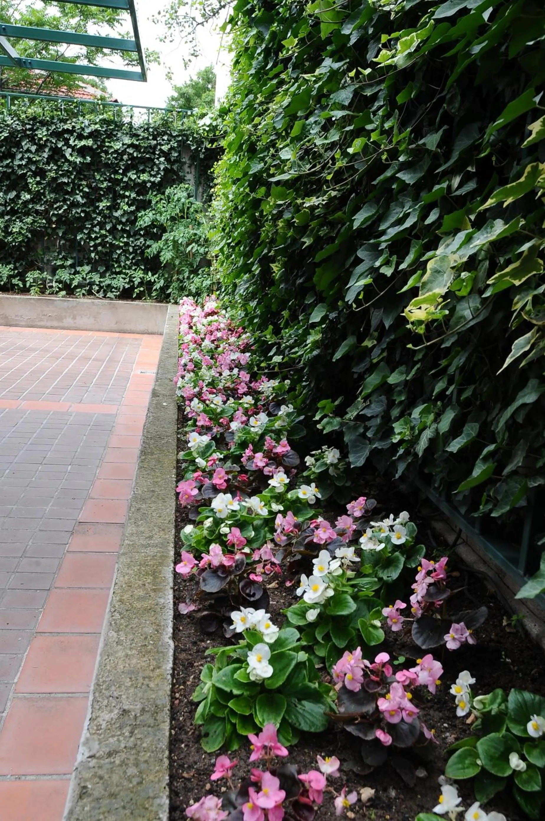 Garden in Ontur Butik Hotel