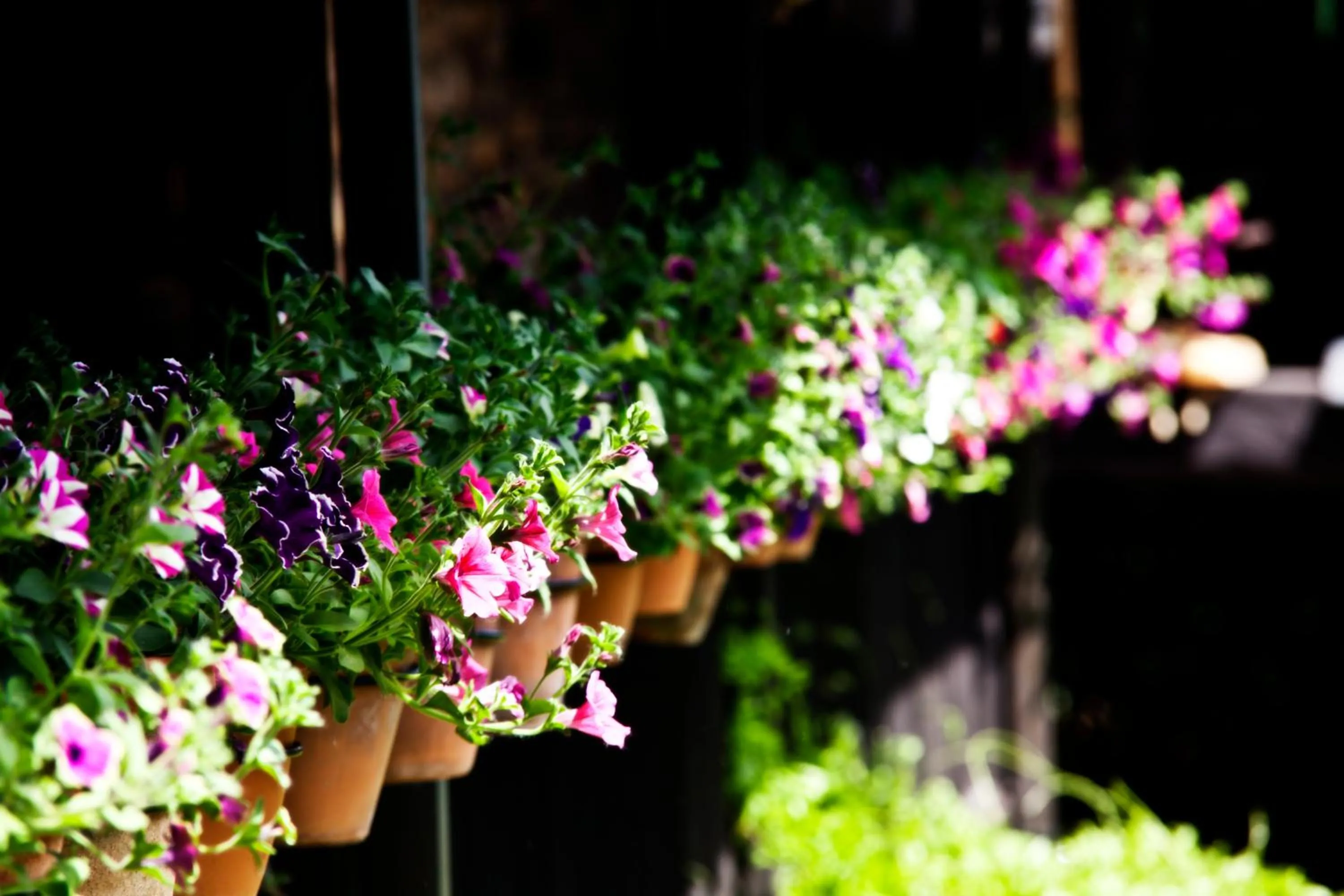 Balcony/Terrace in La Moncloa de San Lazaro