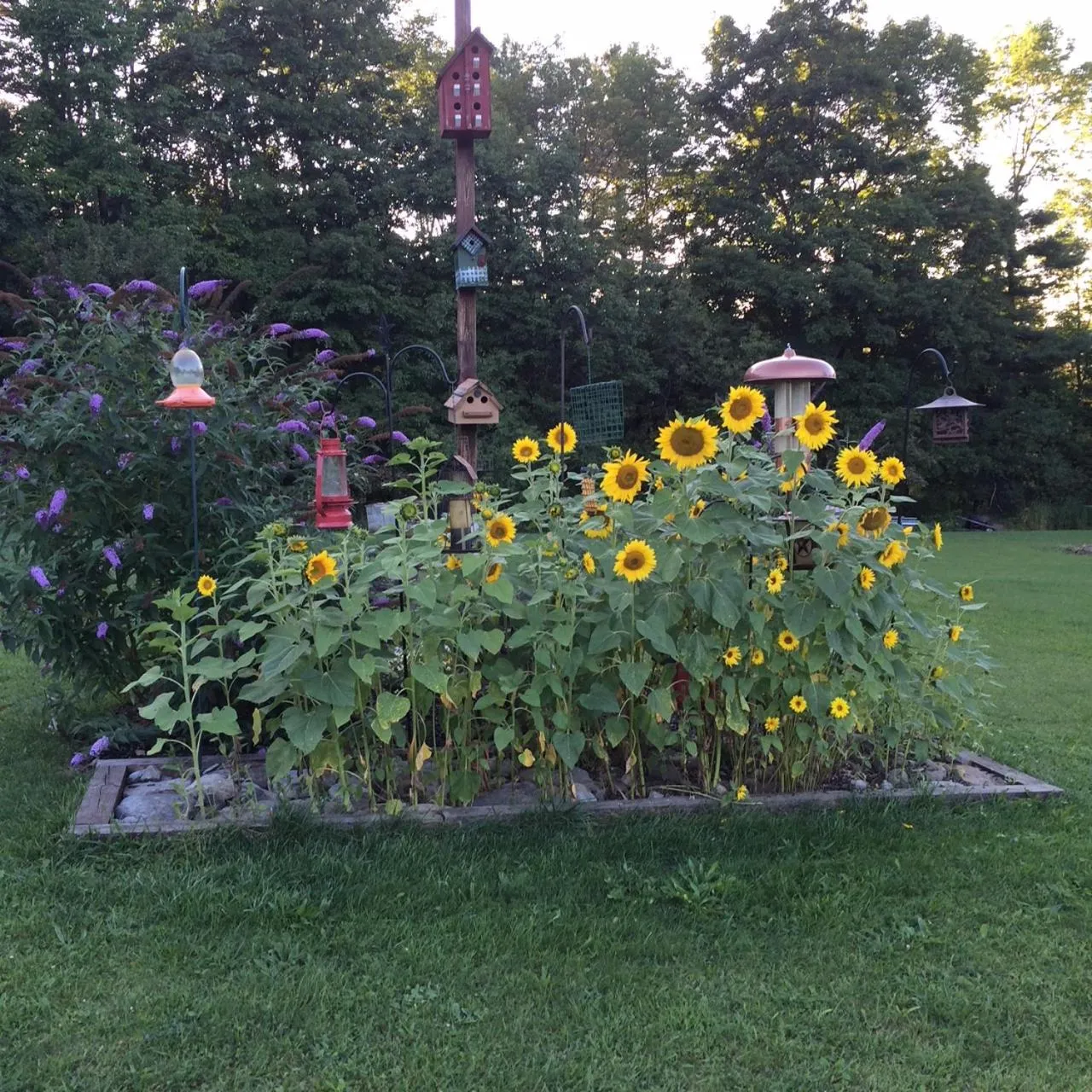 Property building in Coolis Apartment