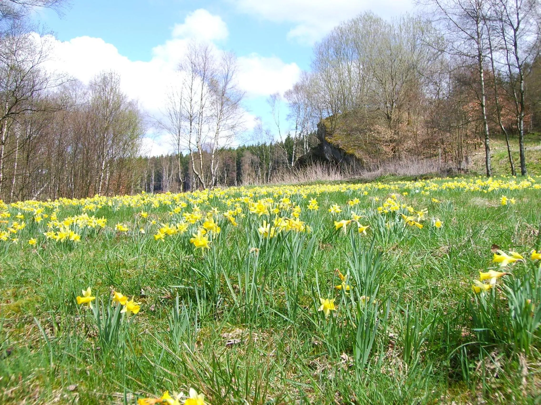 Spring in Vulkanhotel balance&selfness ***S