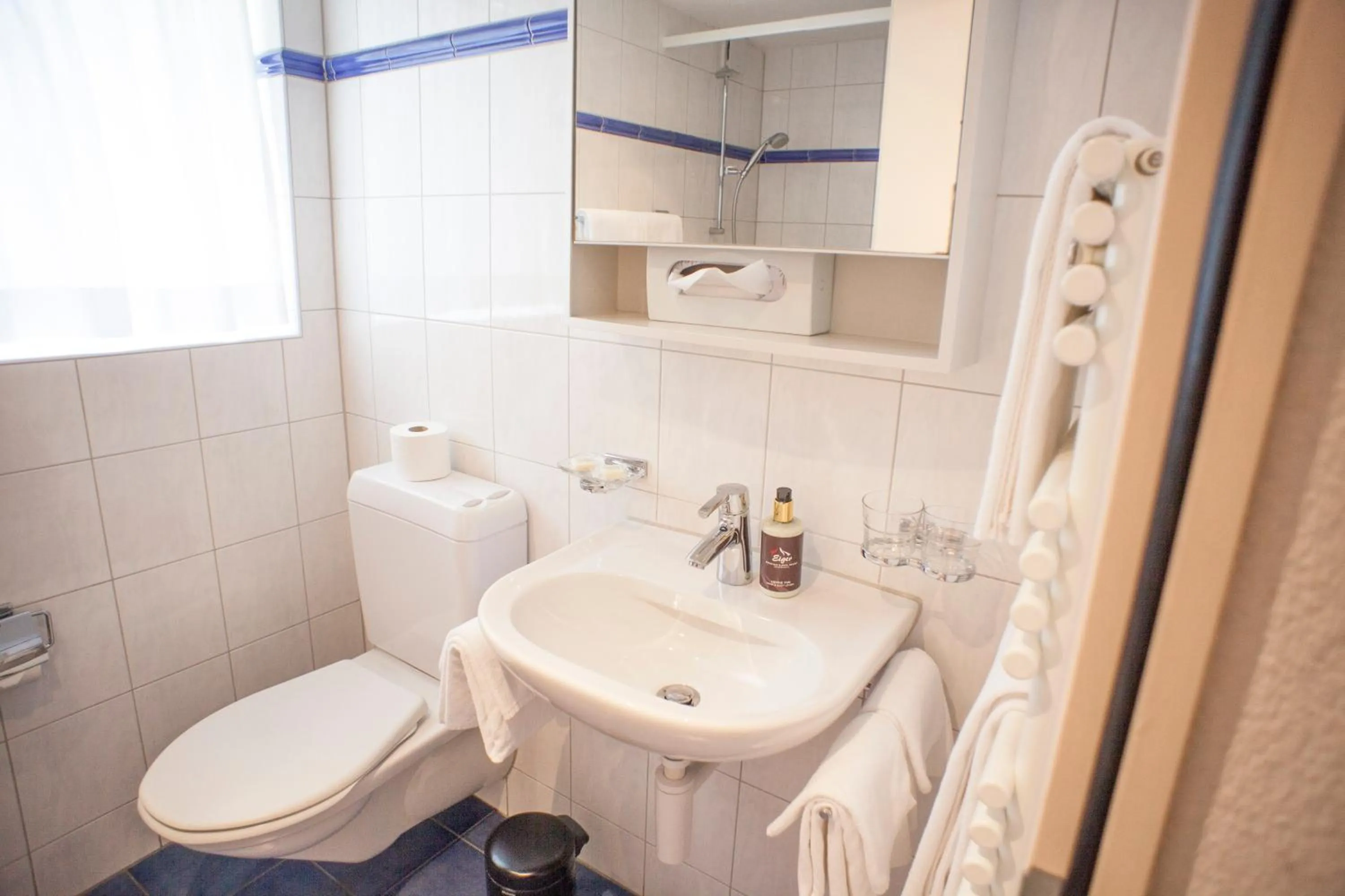 Bathroom in Eiger Guest House - Grindelwald