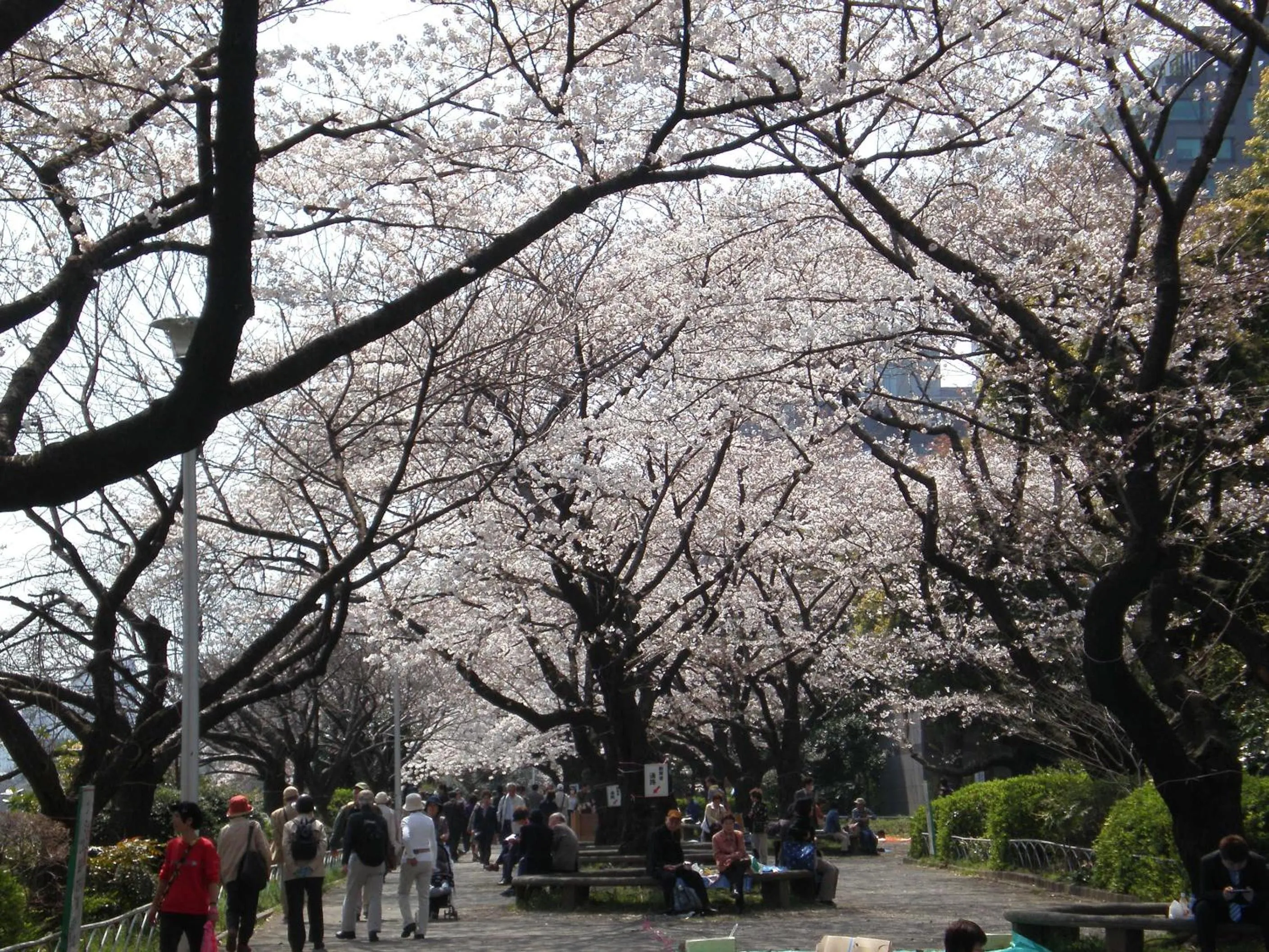 Area and facilities in Hotel Monterey Hanzomon