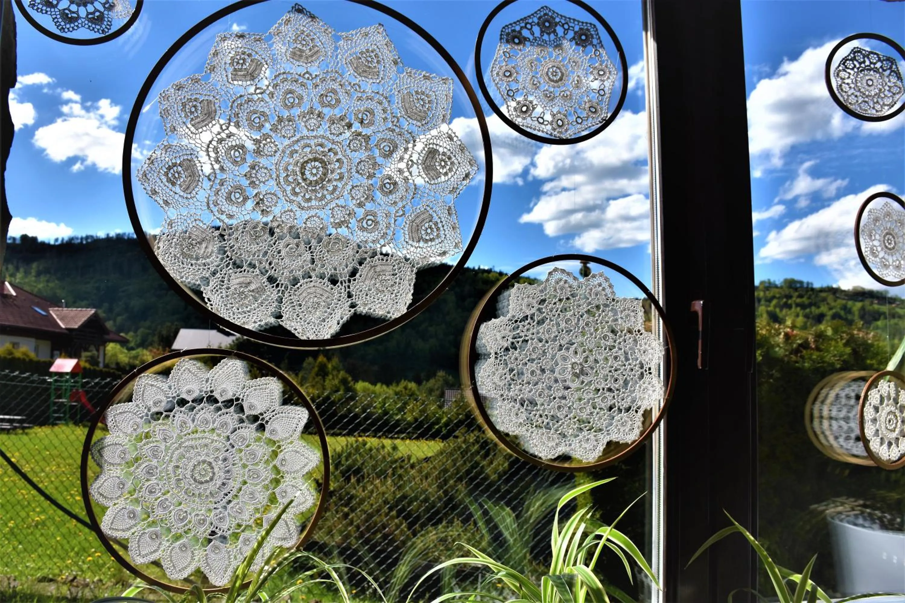 Sasanka przy Gondoli