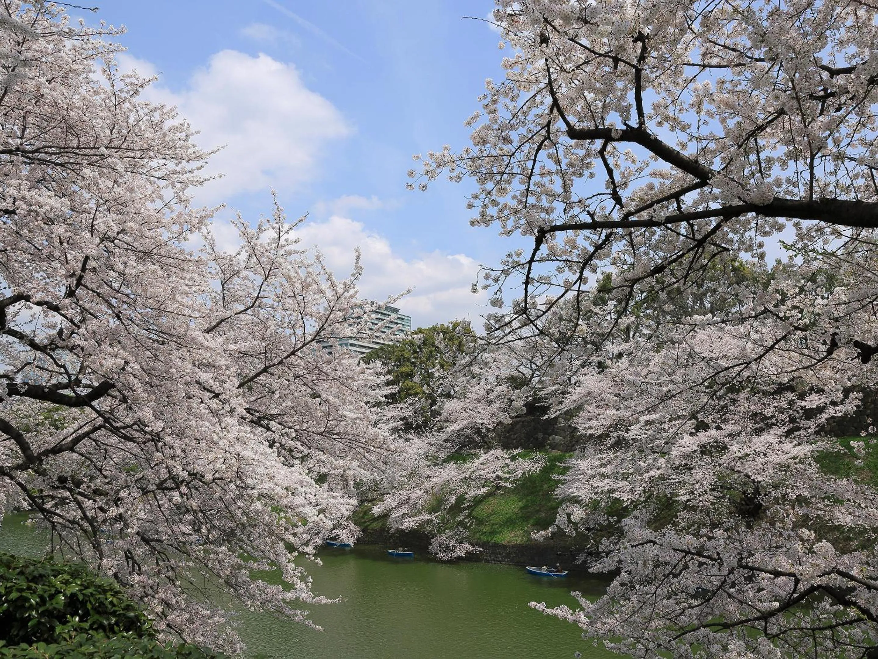 Other in Hotel Monterey Akasaka