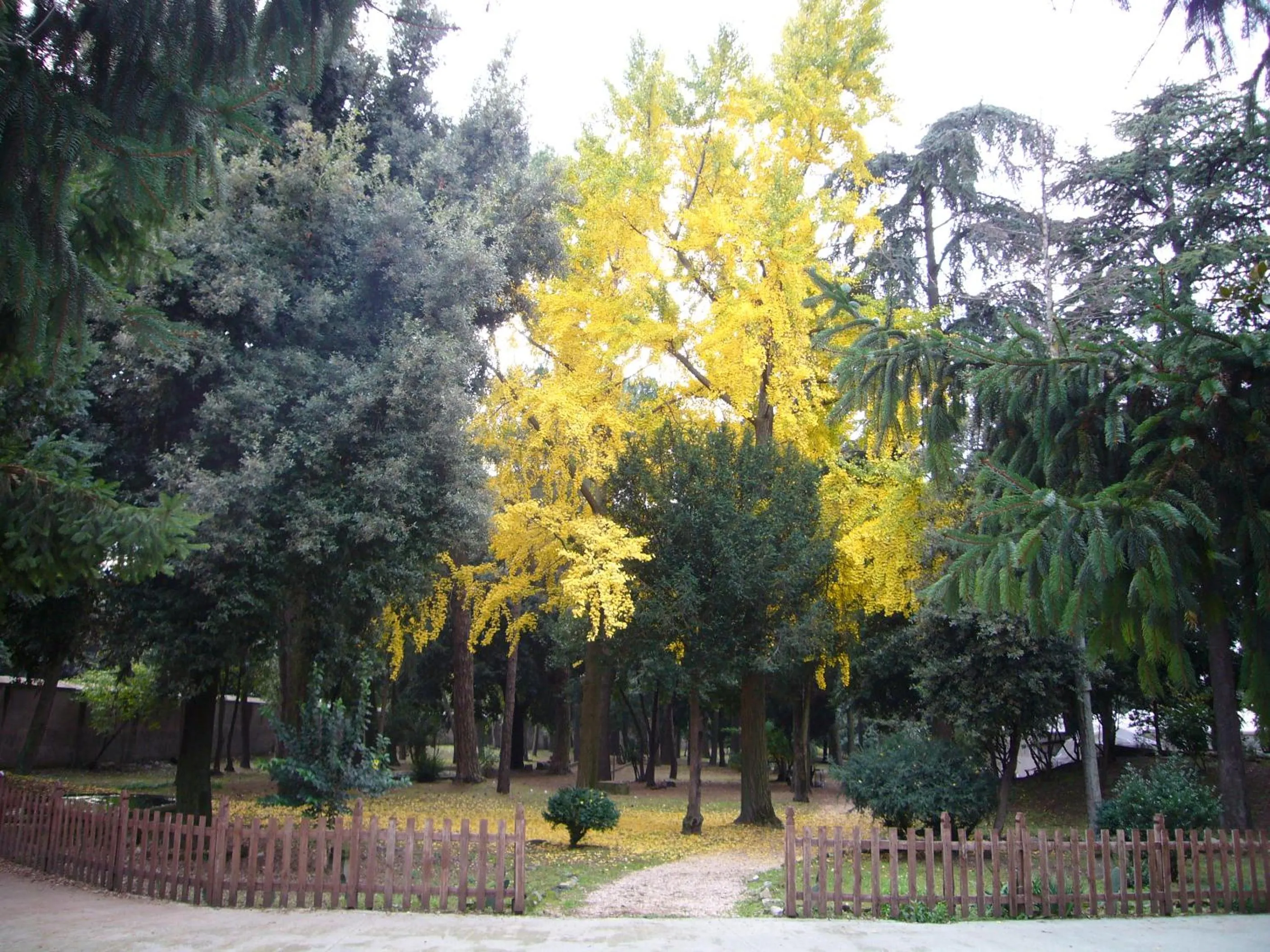 Garden in Villa Altieri