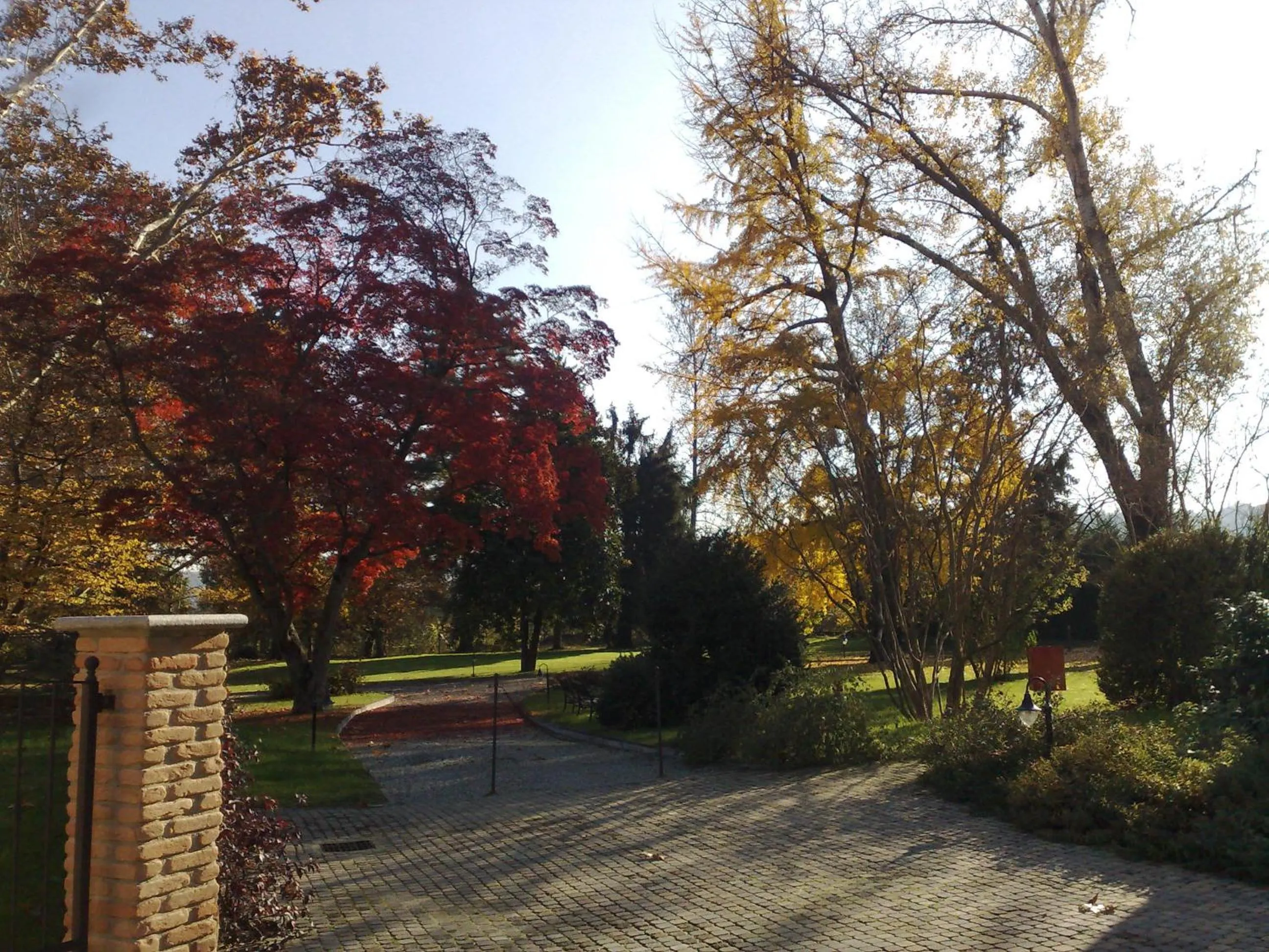 Garden in Villa Soleil