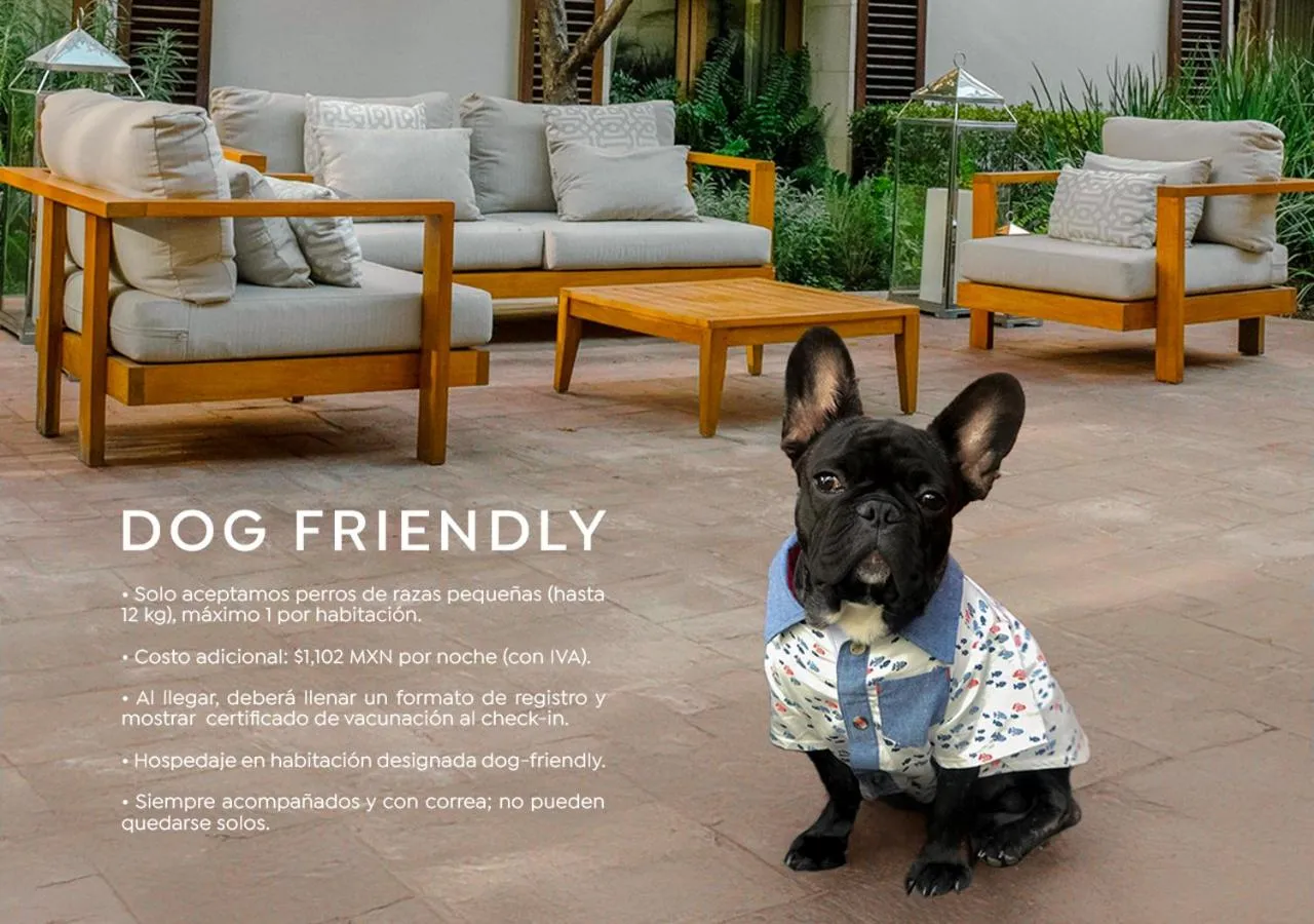 Pets in Cartesiano Boutique & Wellness Hotel