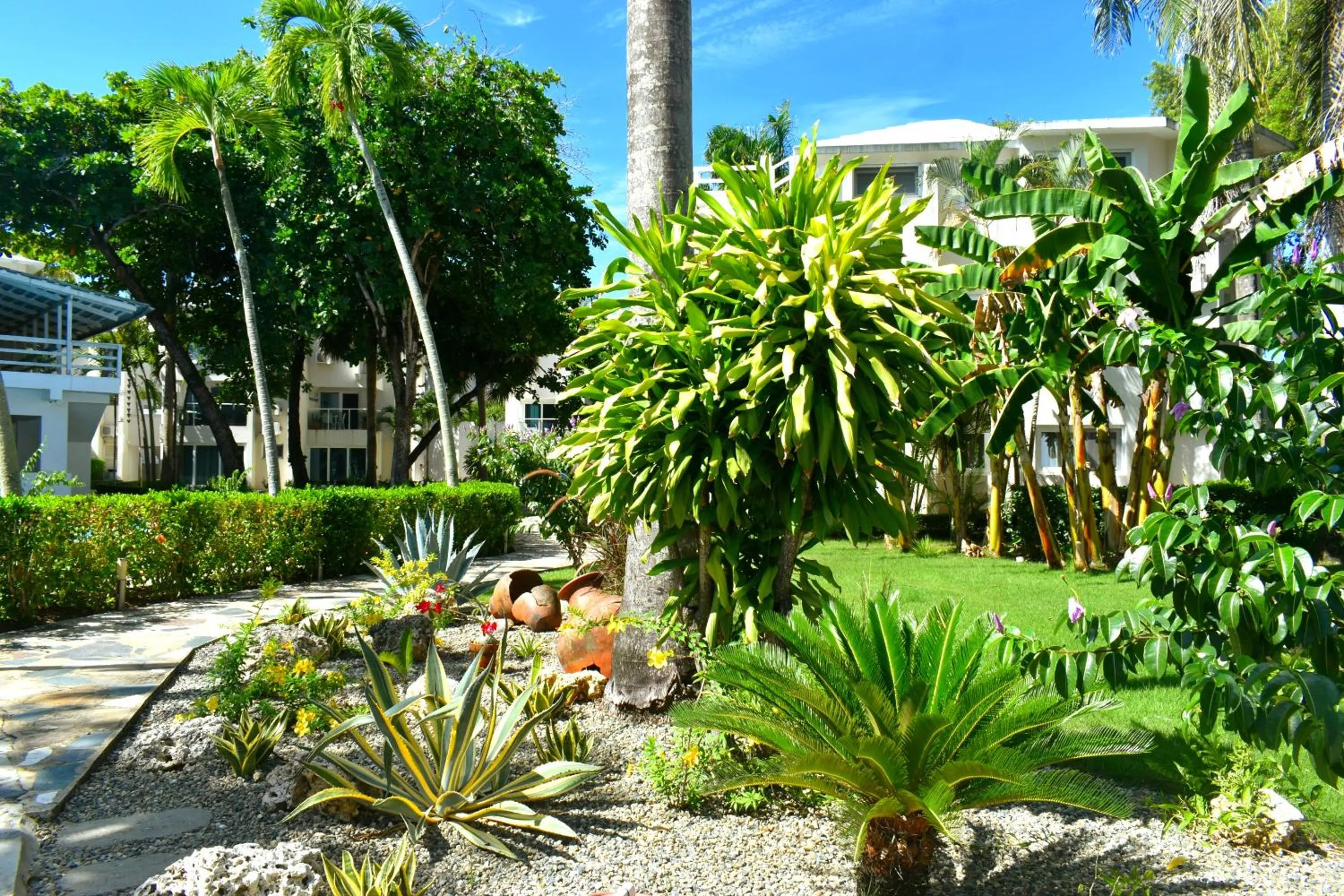 Natural landscape in Tropical Casa Laguna