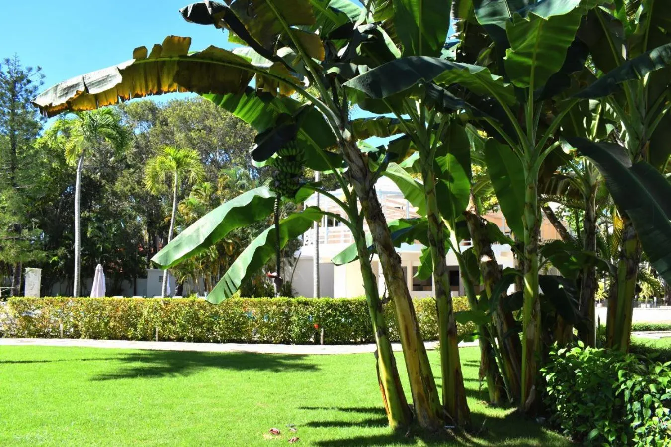 Day in Tropical Casa Laguna