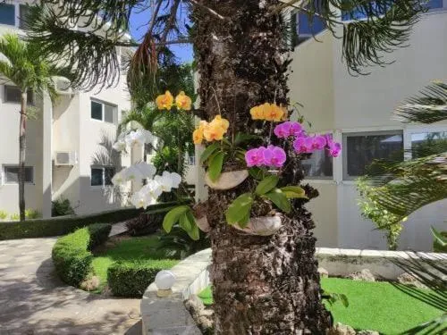 Property building in Tropical Casa Laguna