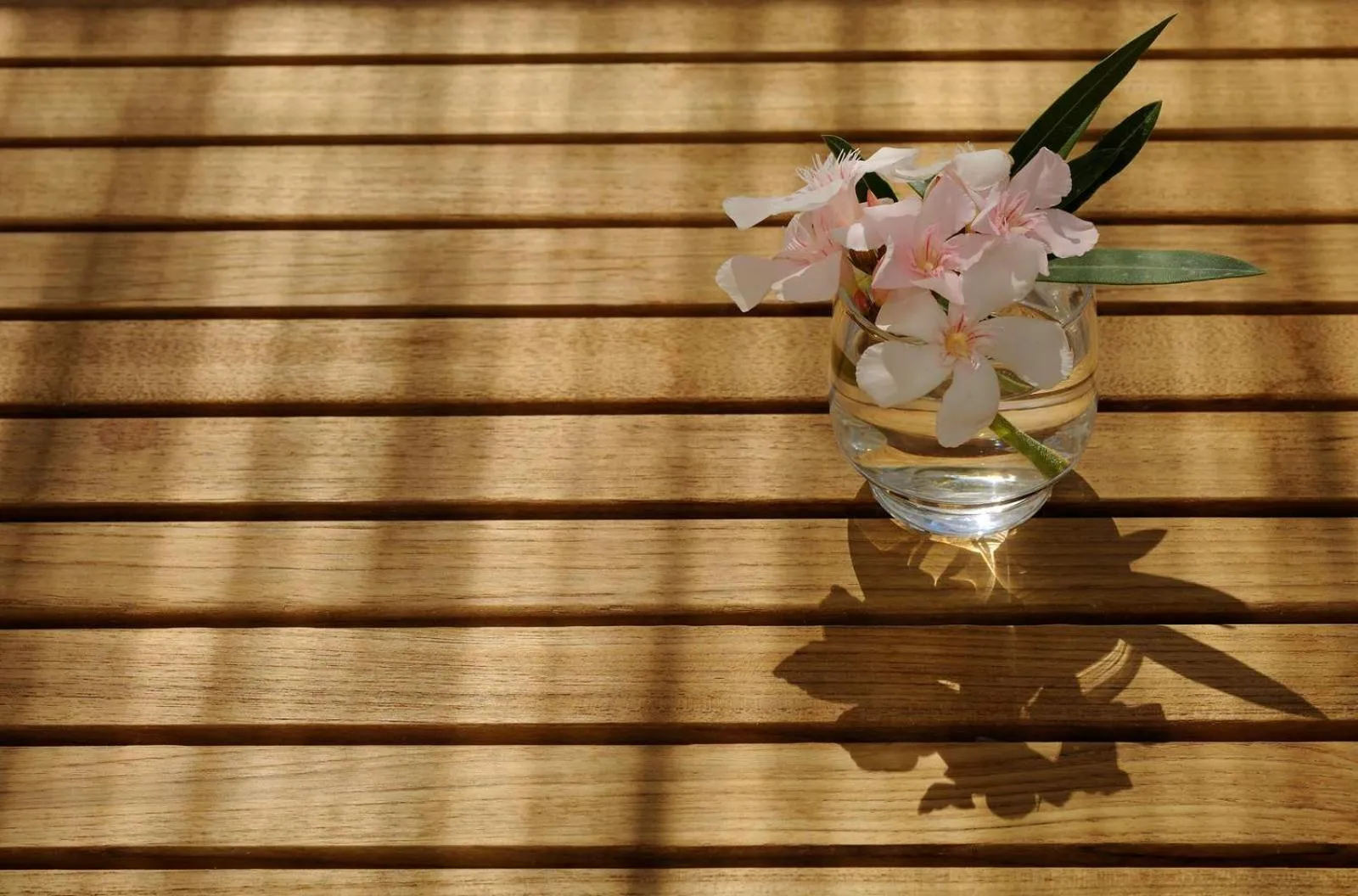 Decorative detail in Hotel Osejava