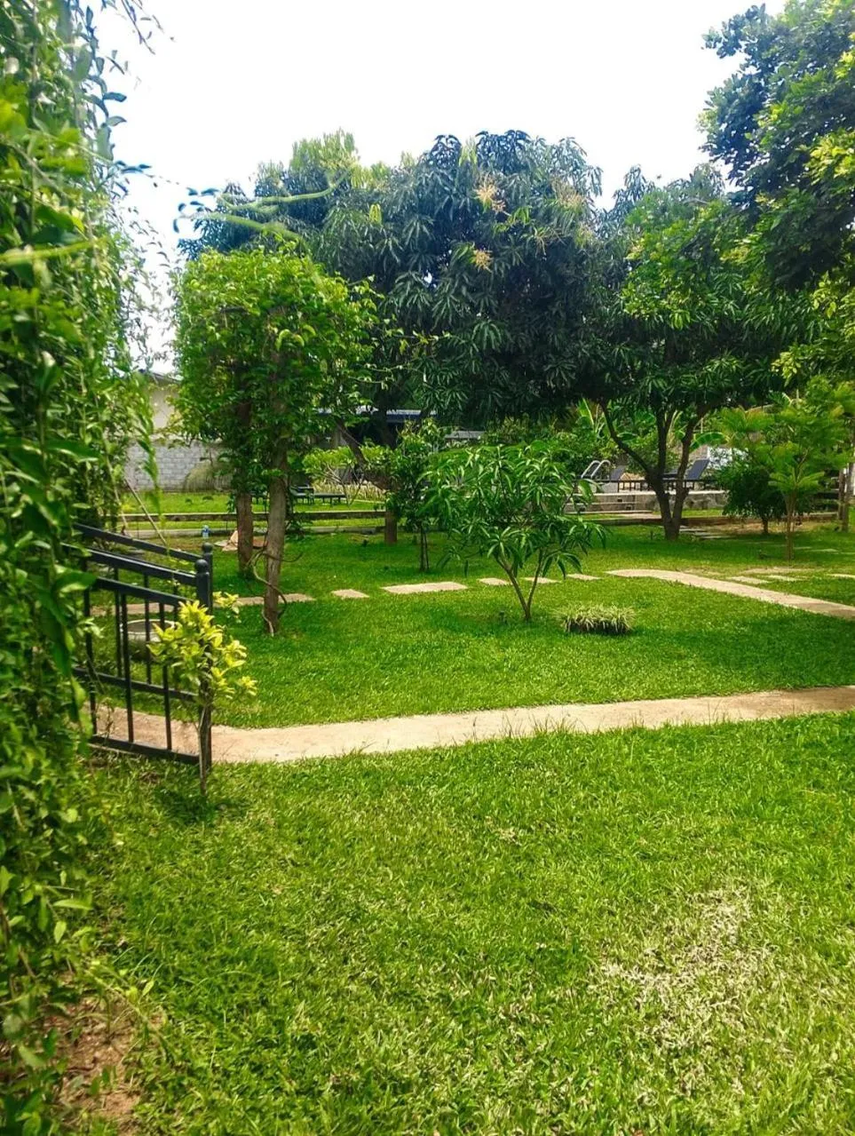 Garden view in Organic Garden Resort Sigiriya