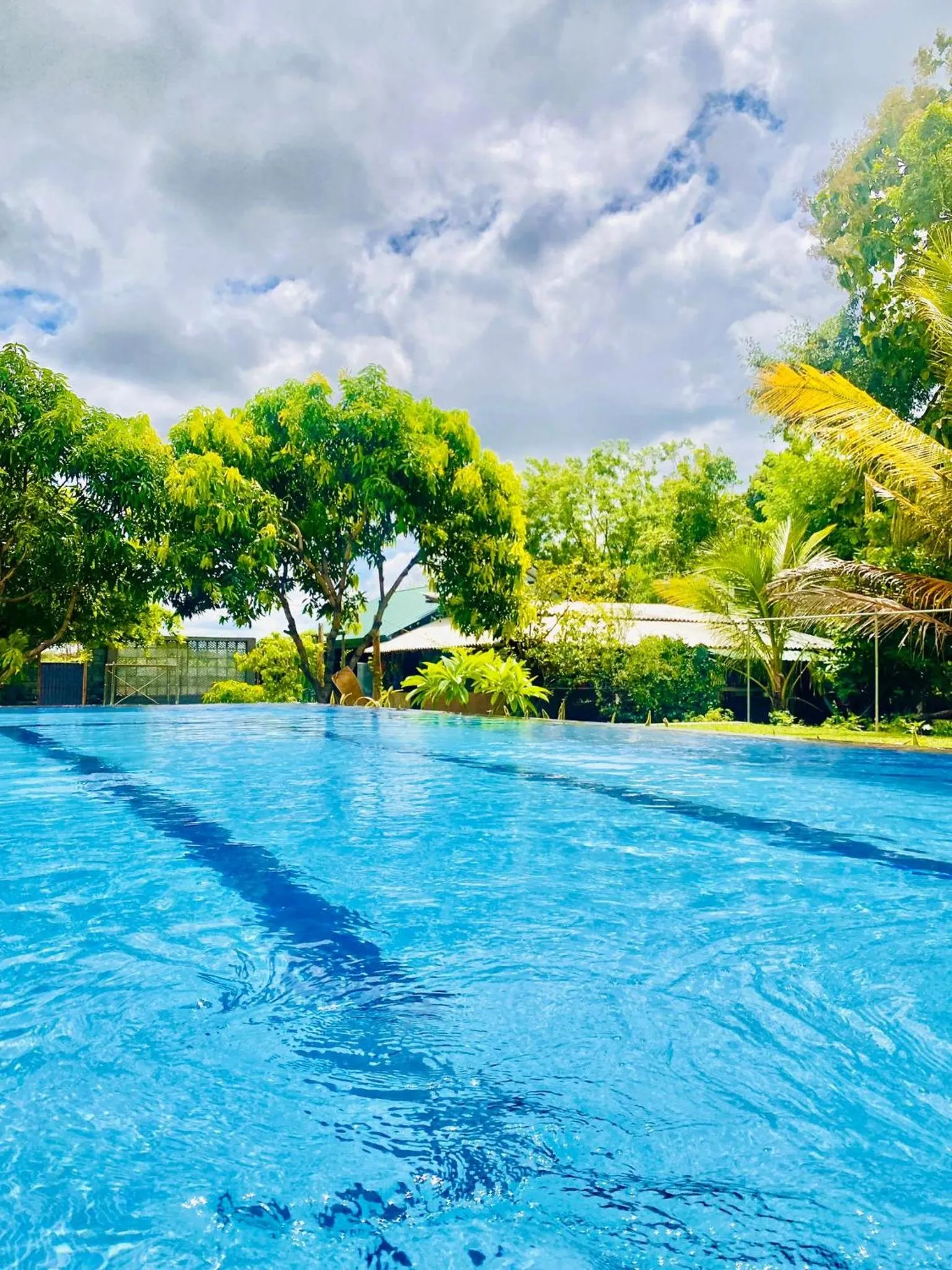 Swimming pool in Organic Garden Resort Sigiriya