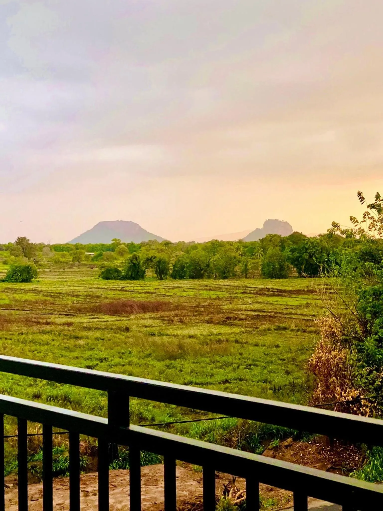 Spring in Organic Garden Resort Sigiriya