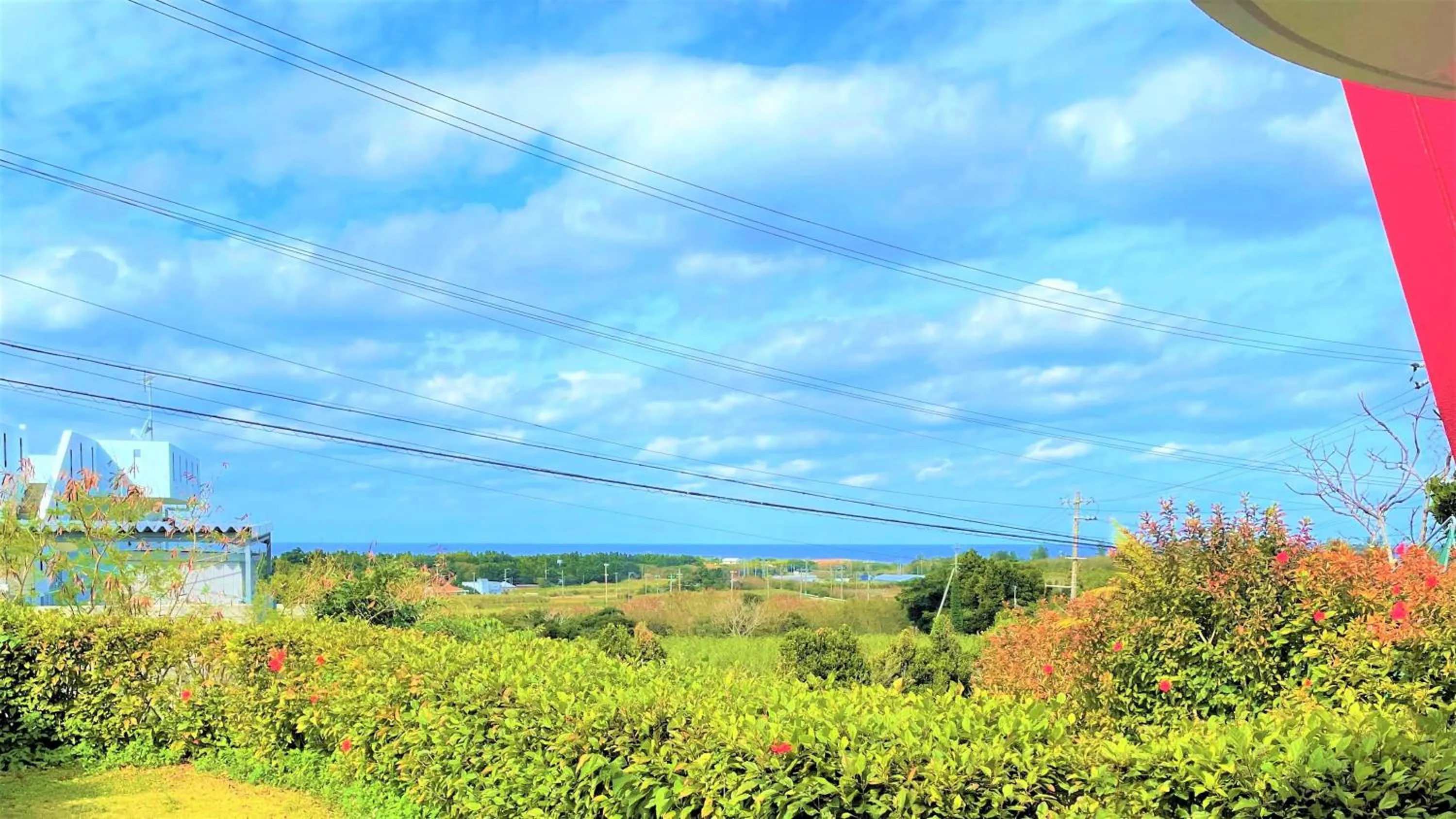 Sea view in Rose Terrace Bise