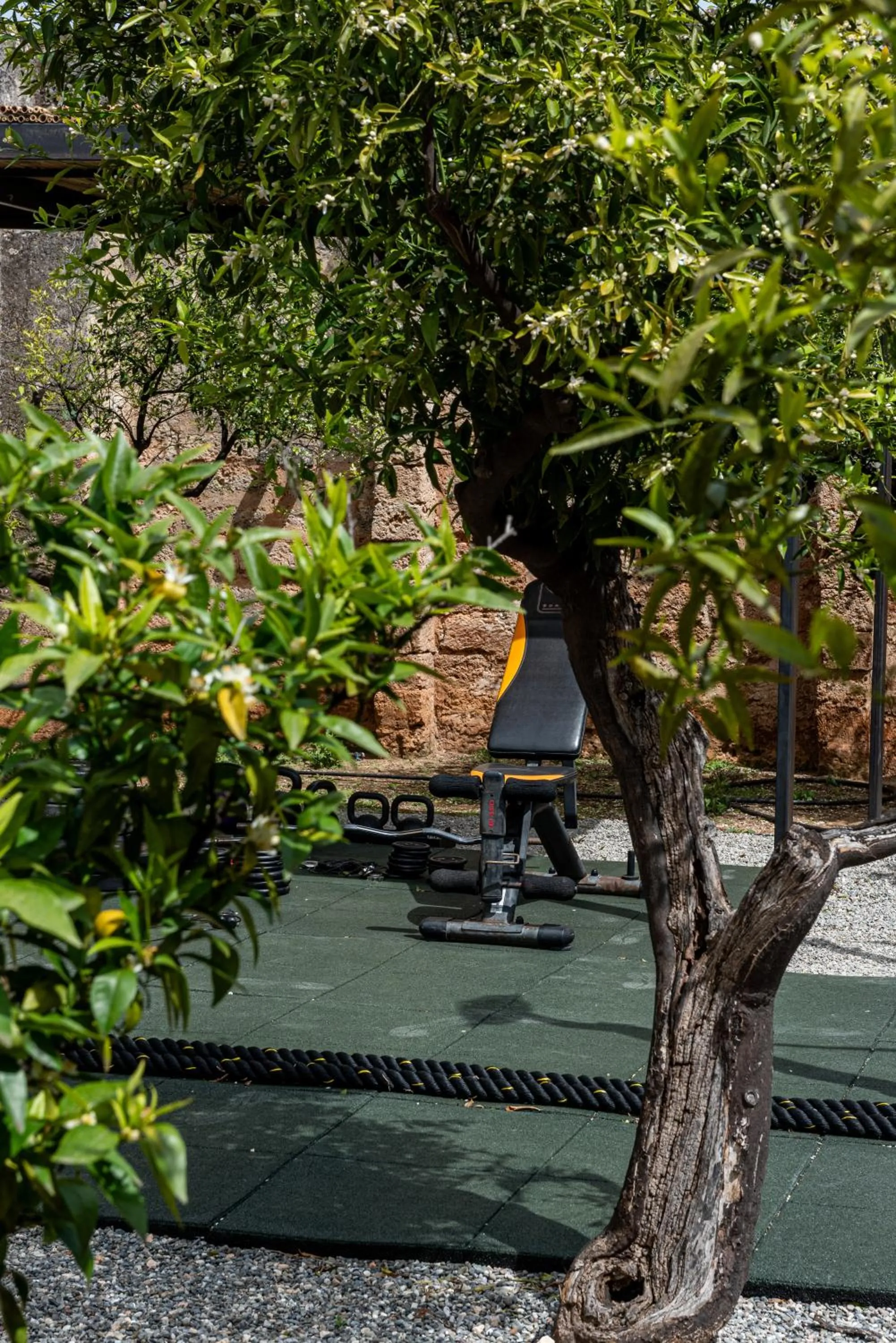 Fitness centre/facilities in Masseria Borgo San Marco