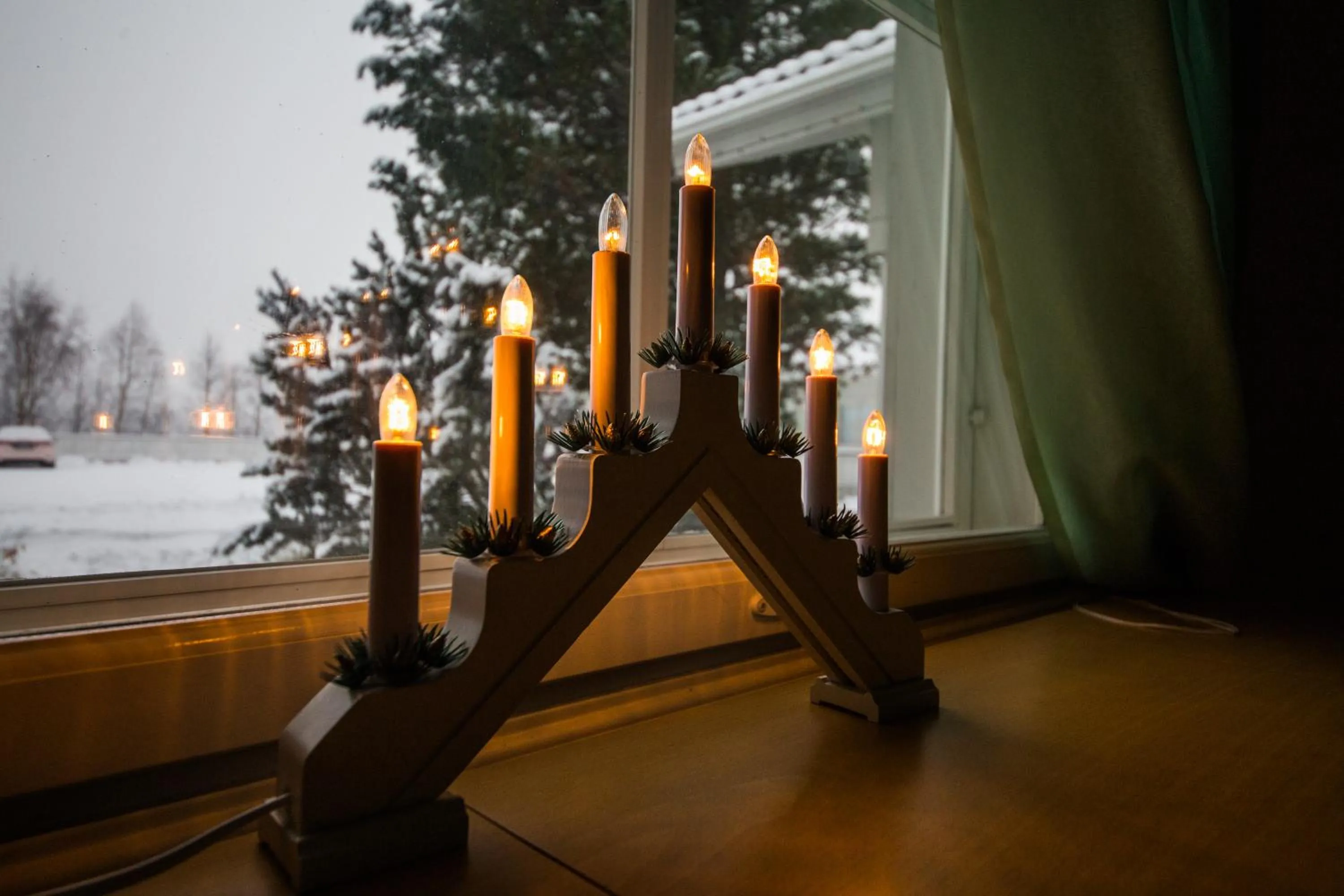 Other in Arctic Resort Delight