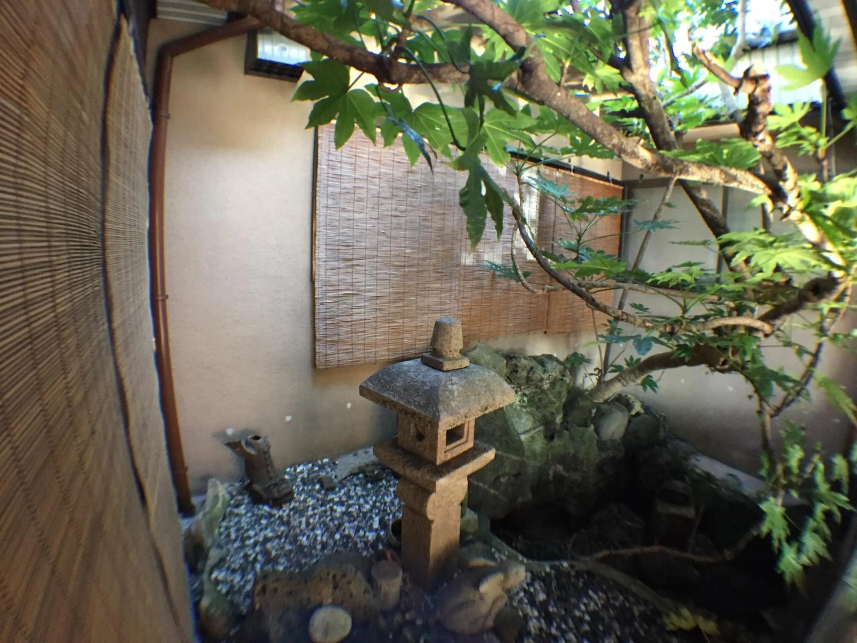 Garden view in Kadokyu Ryokan