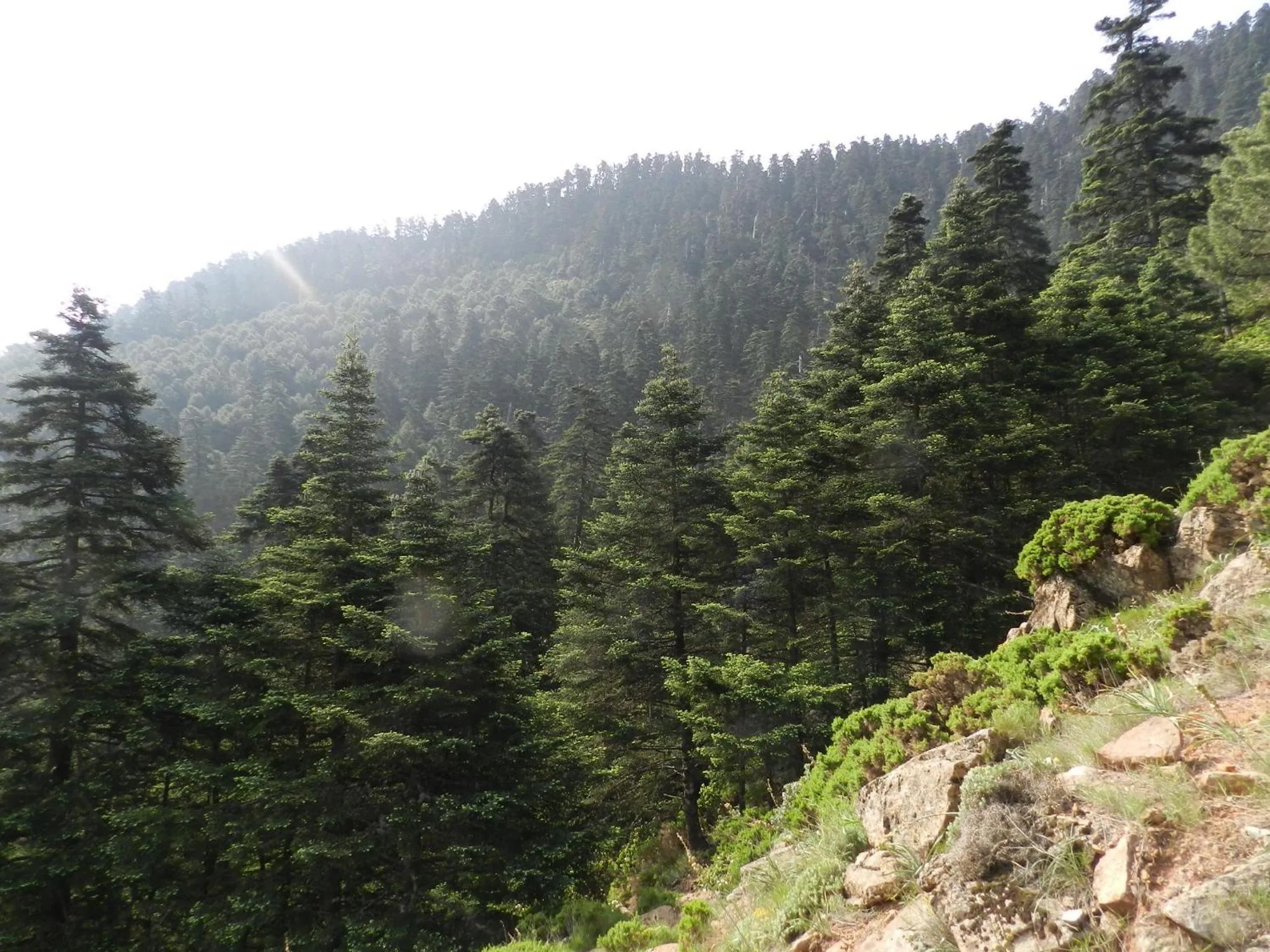 Mountain view in La Posada del Recovero