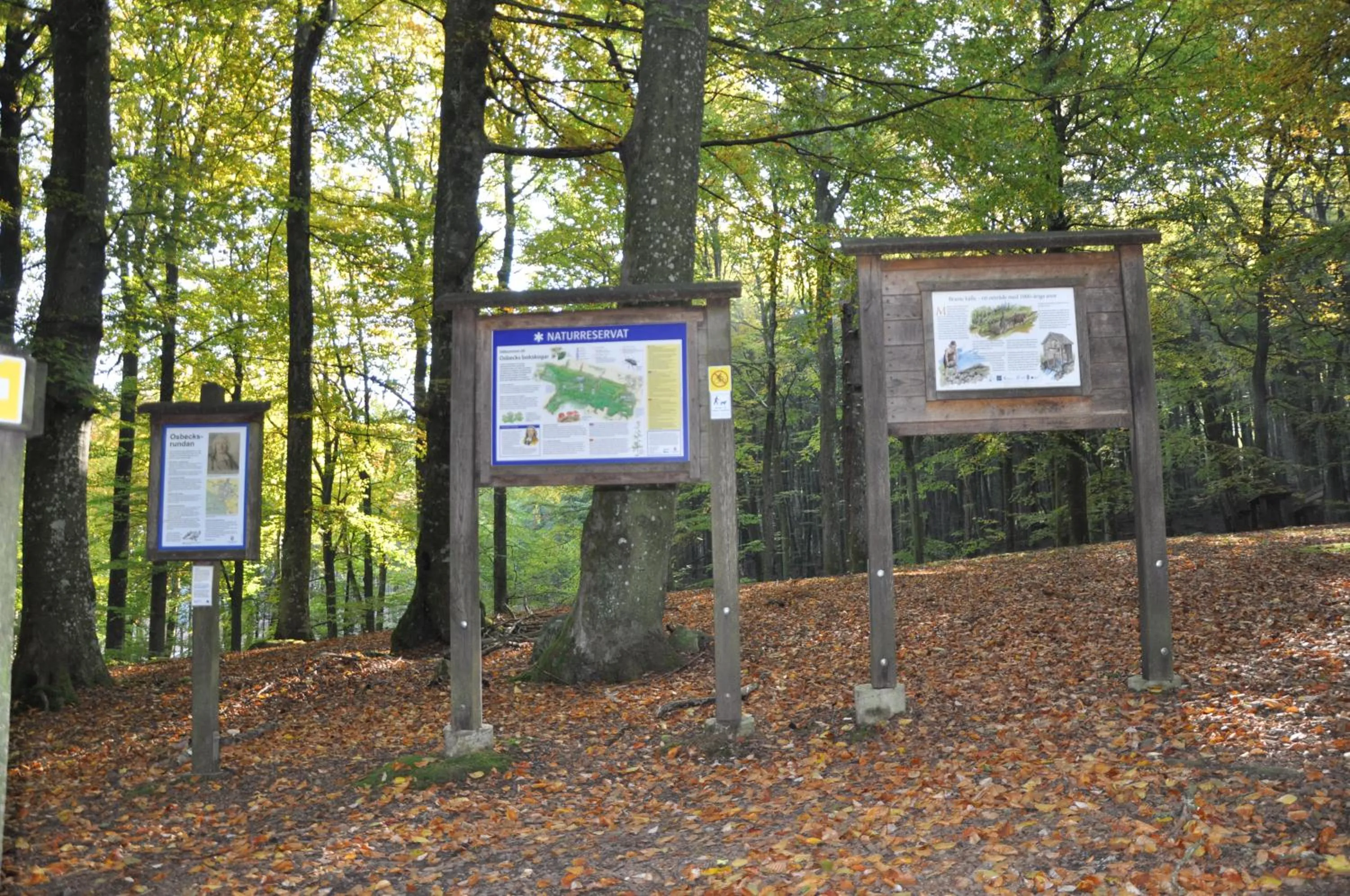 Natural landscape in Hotel Bella Luna