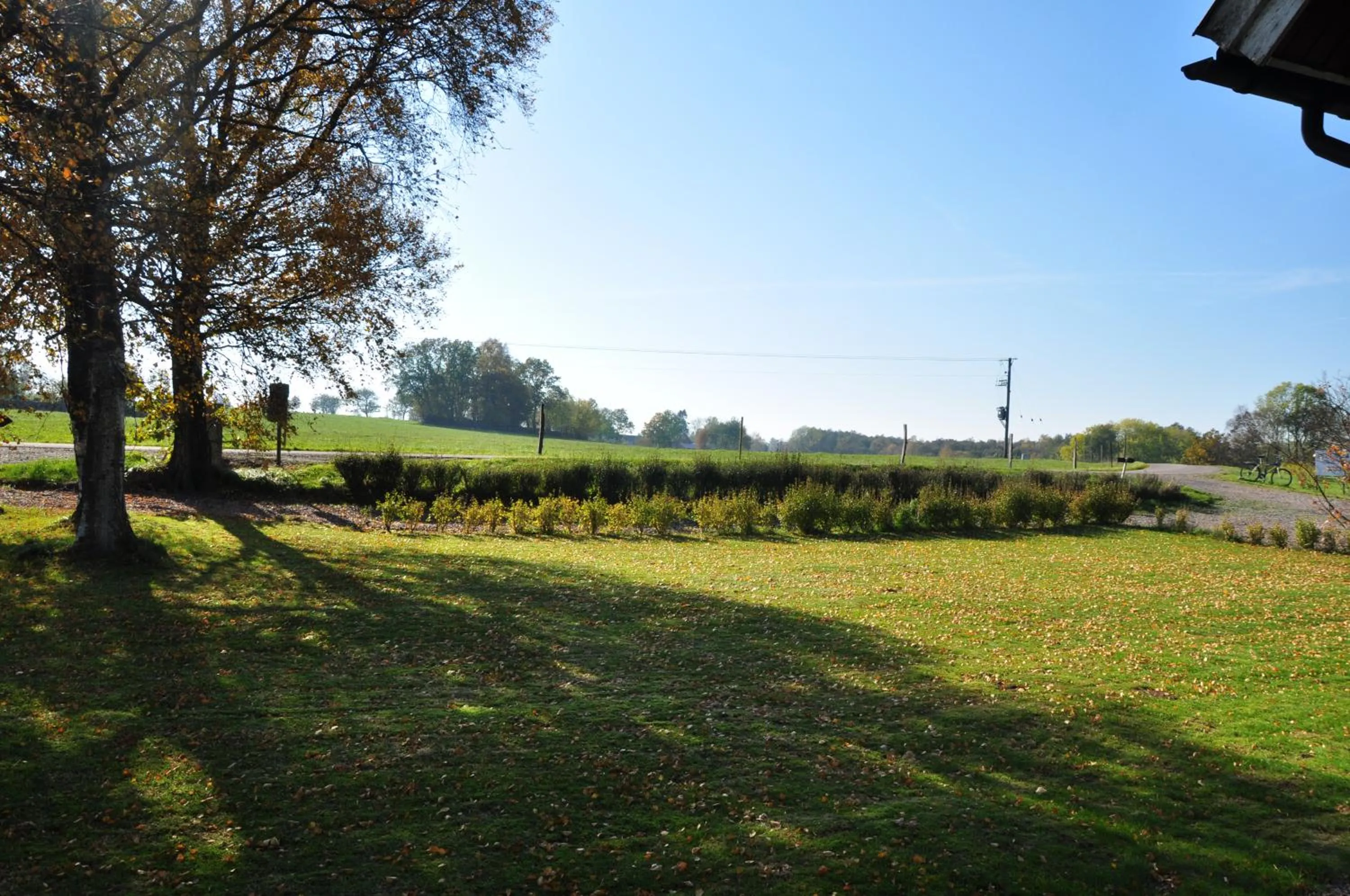 Garden view in Hotel Bella Luna