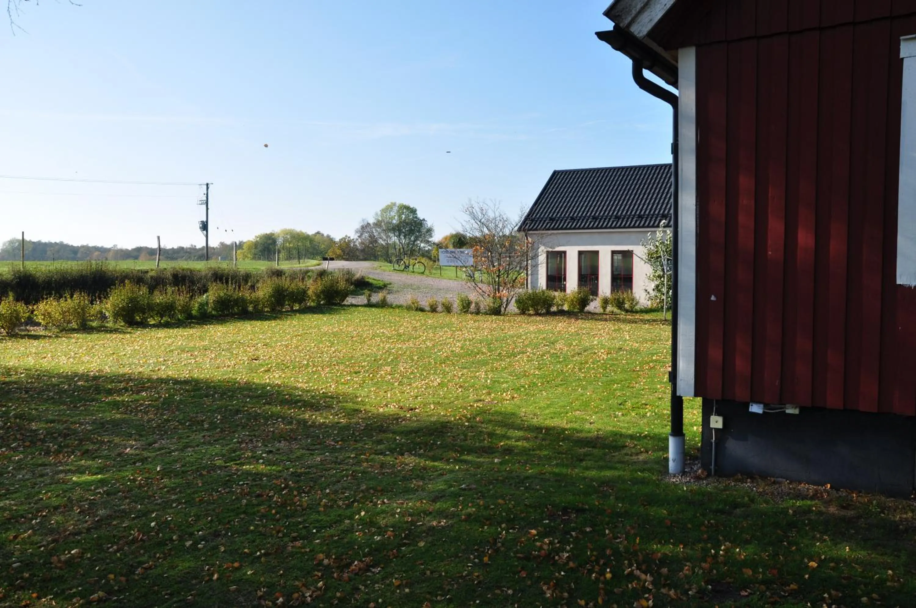 Garden view in Hotel Bella Luna