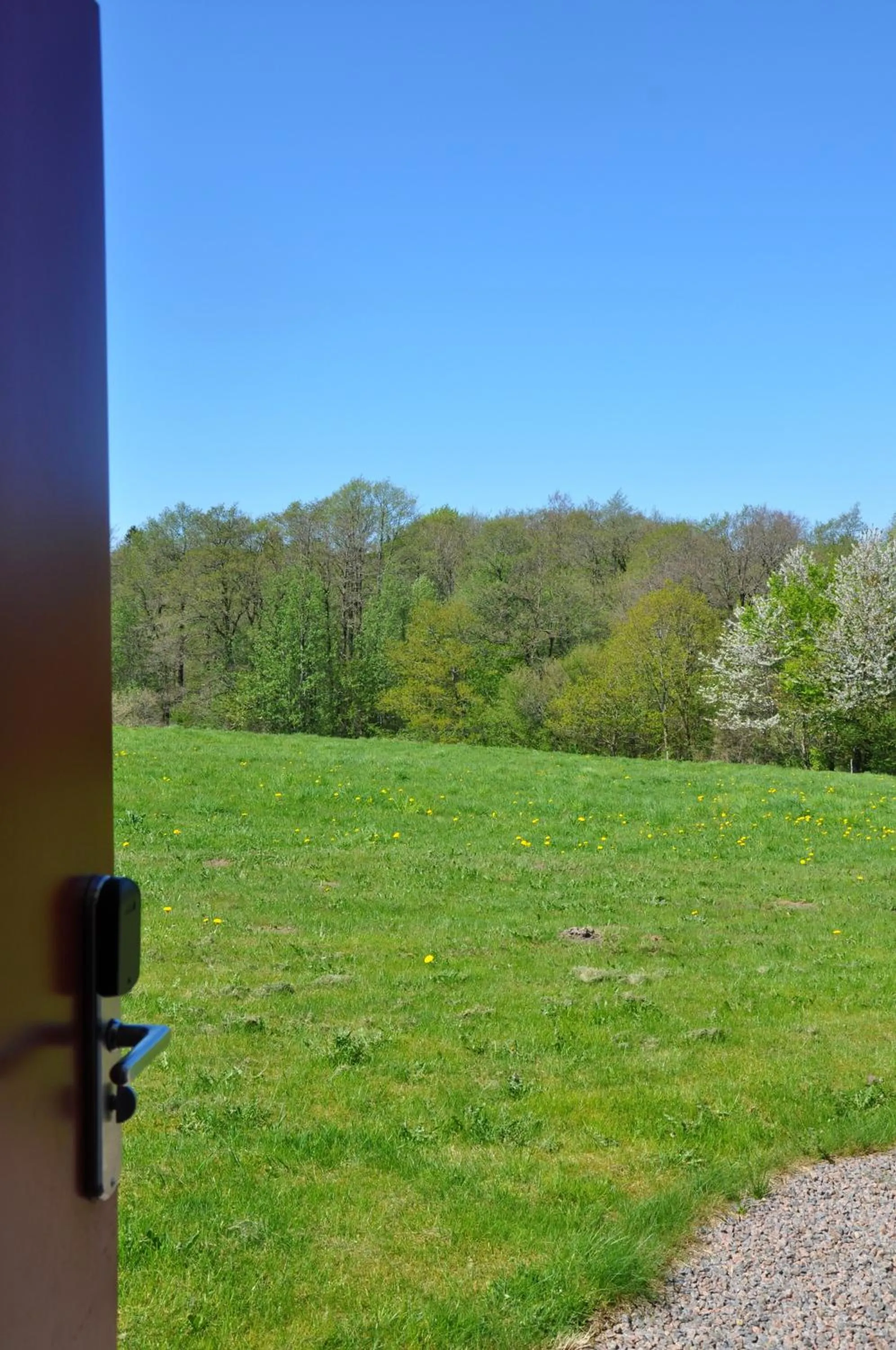 Garden view in Hotel Bella Luna