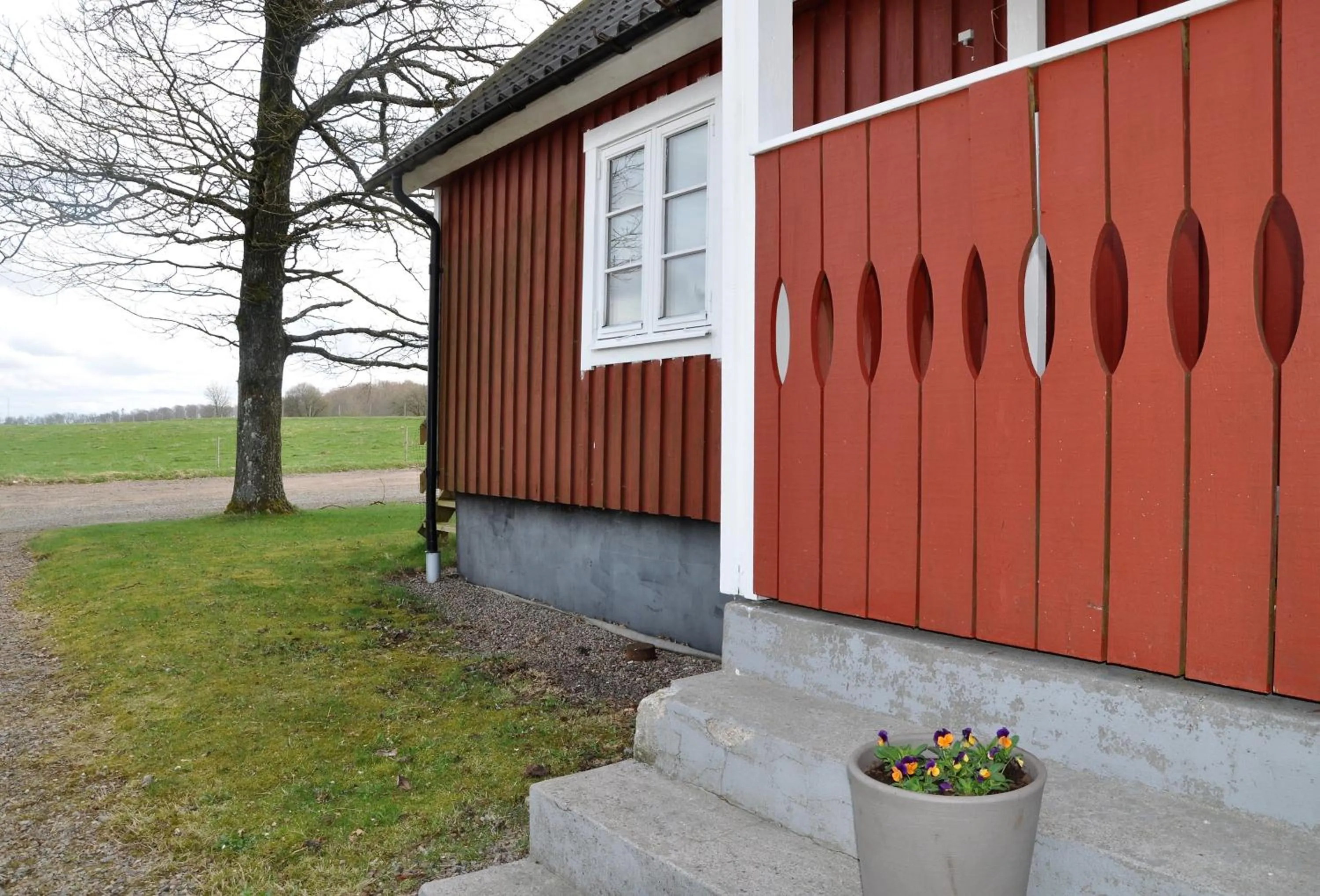Garden in Hotel Bella Luna