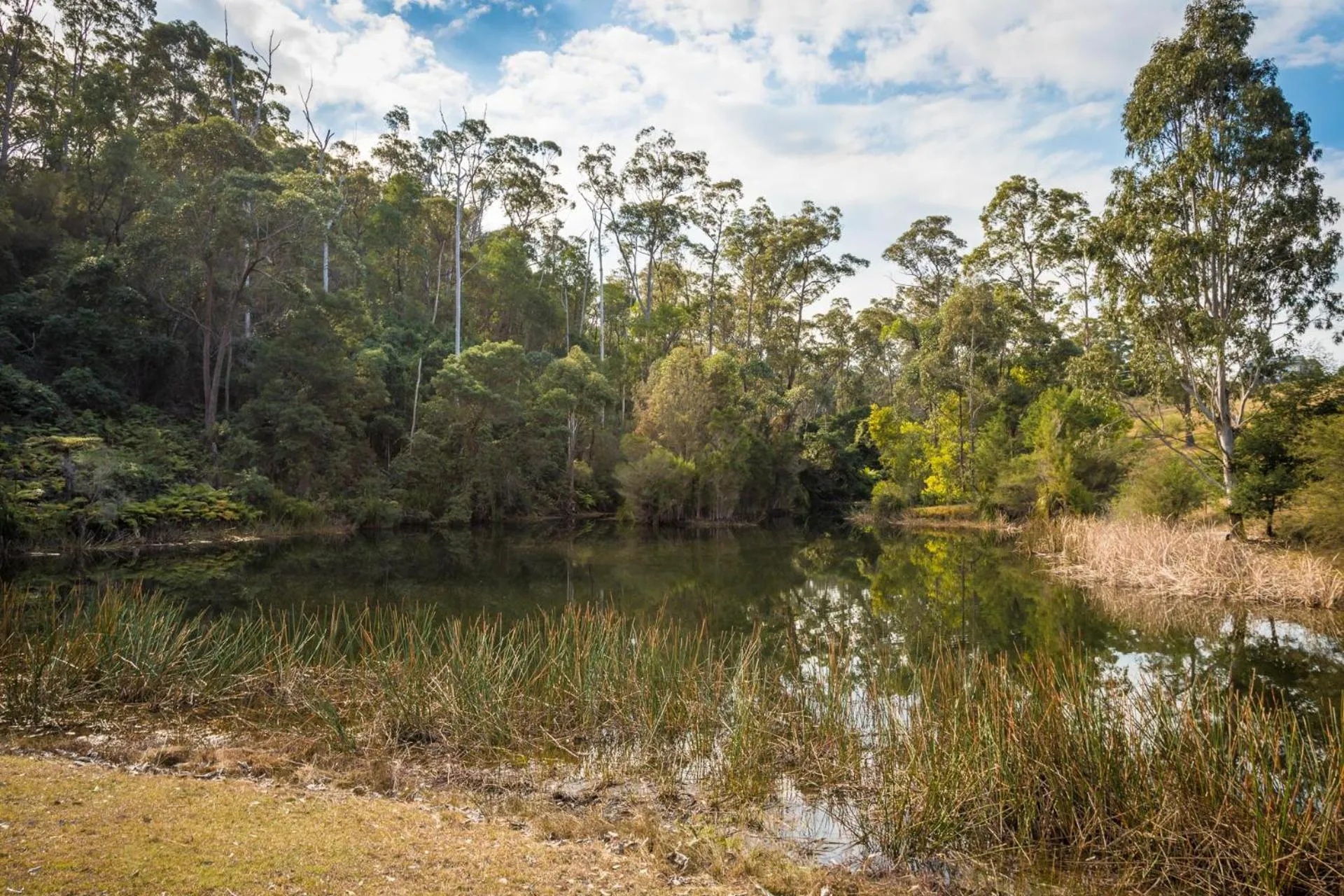 Natural landscape in Robyn's Nest Lakeside Resort