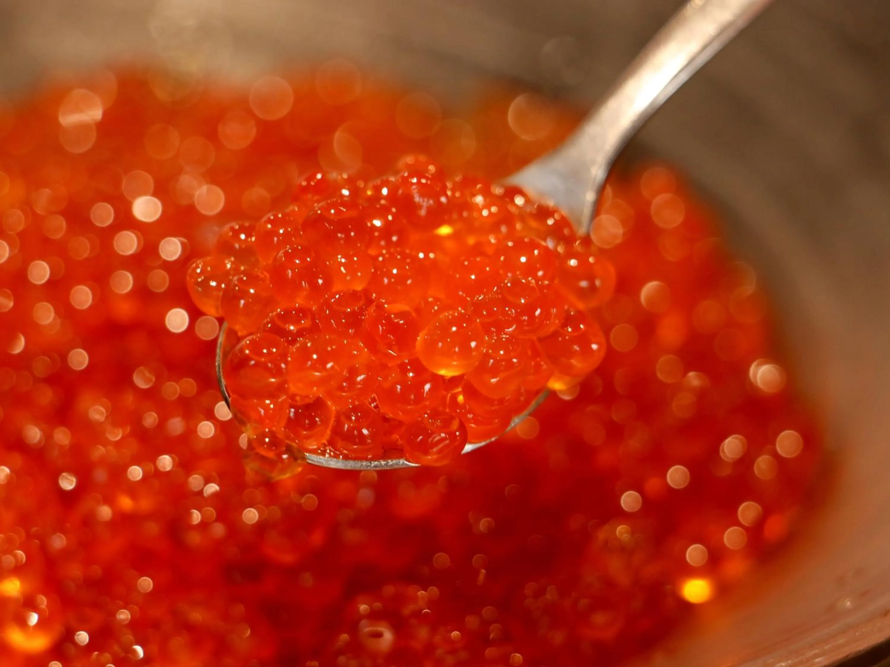 Dinner in Iwanai Kogen Hotel