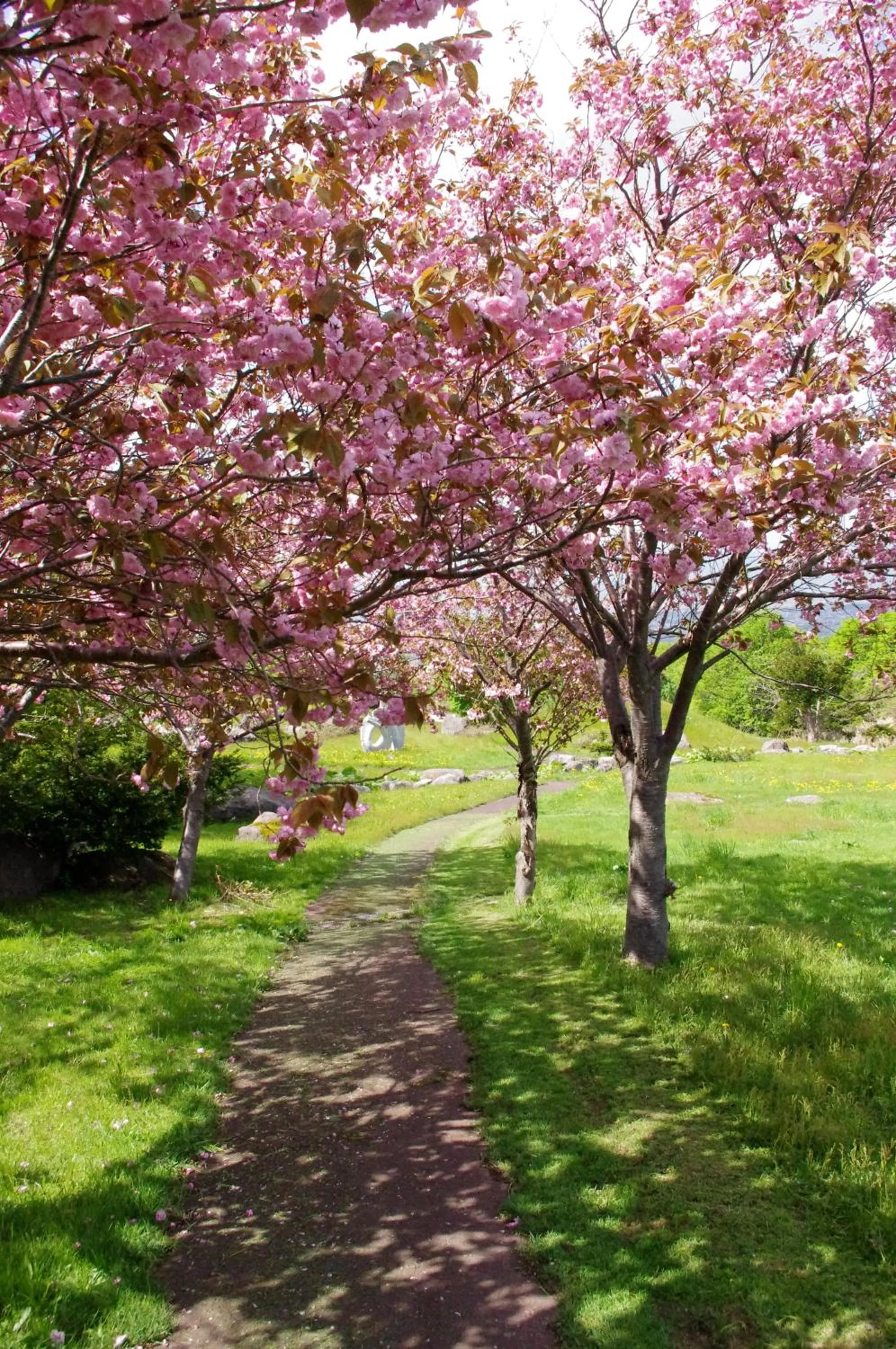 Garden in Iwanai Kogen Hotel