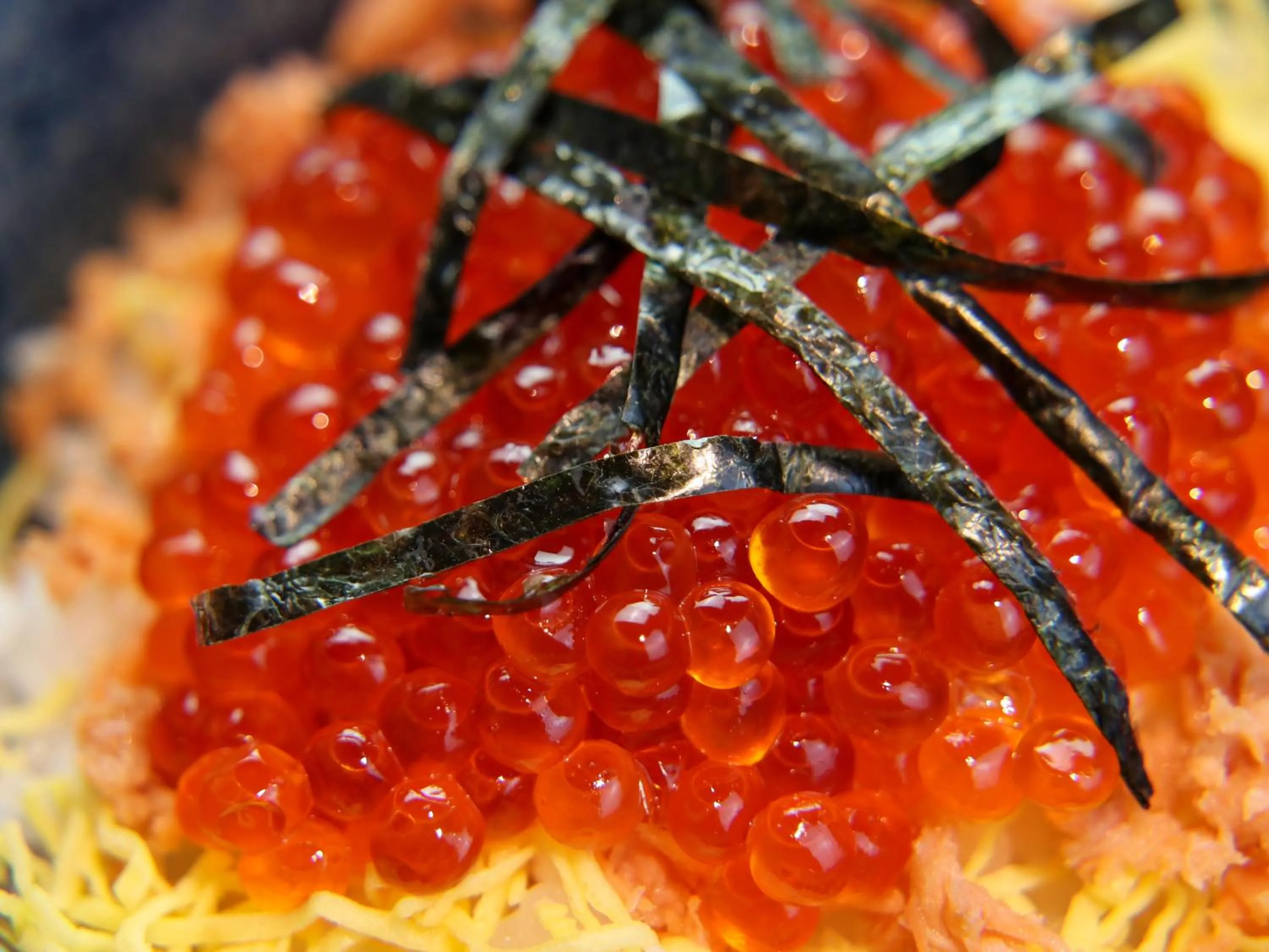 Dinner in Iwanai Kogen Hotel