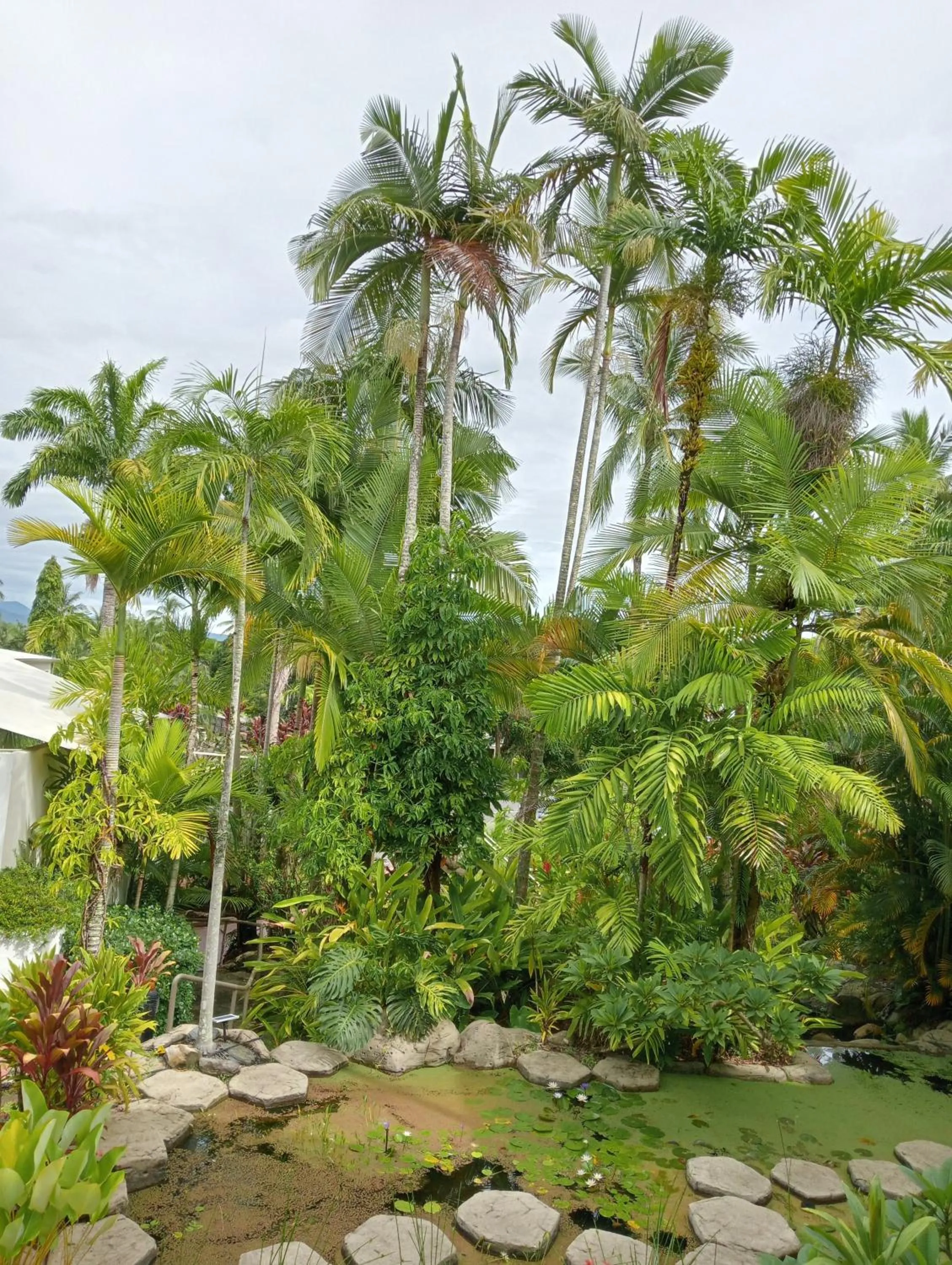 Natural landscape in Club Tropical Resort - Official Onsite Reception & Check In