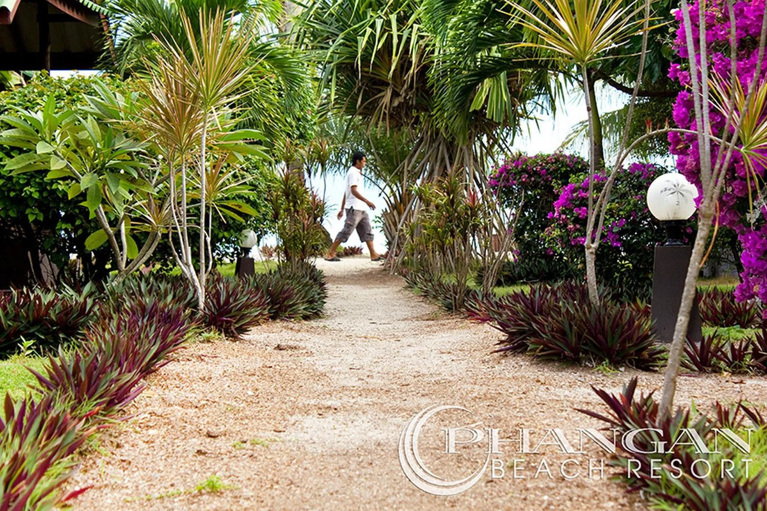 Garden in Phangan Beach Resort