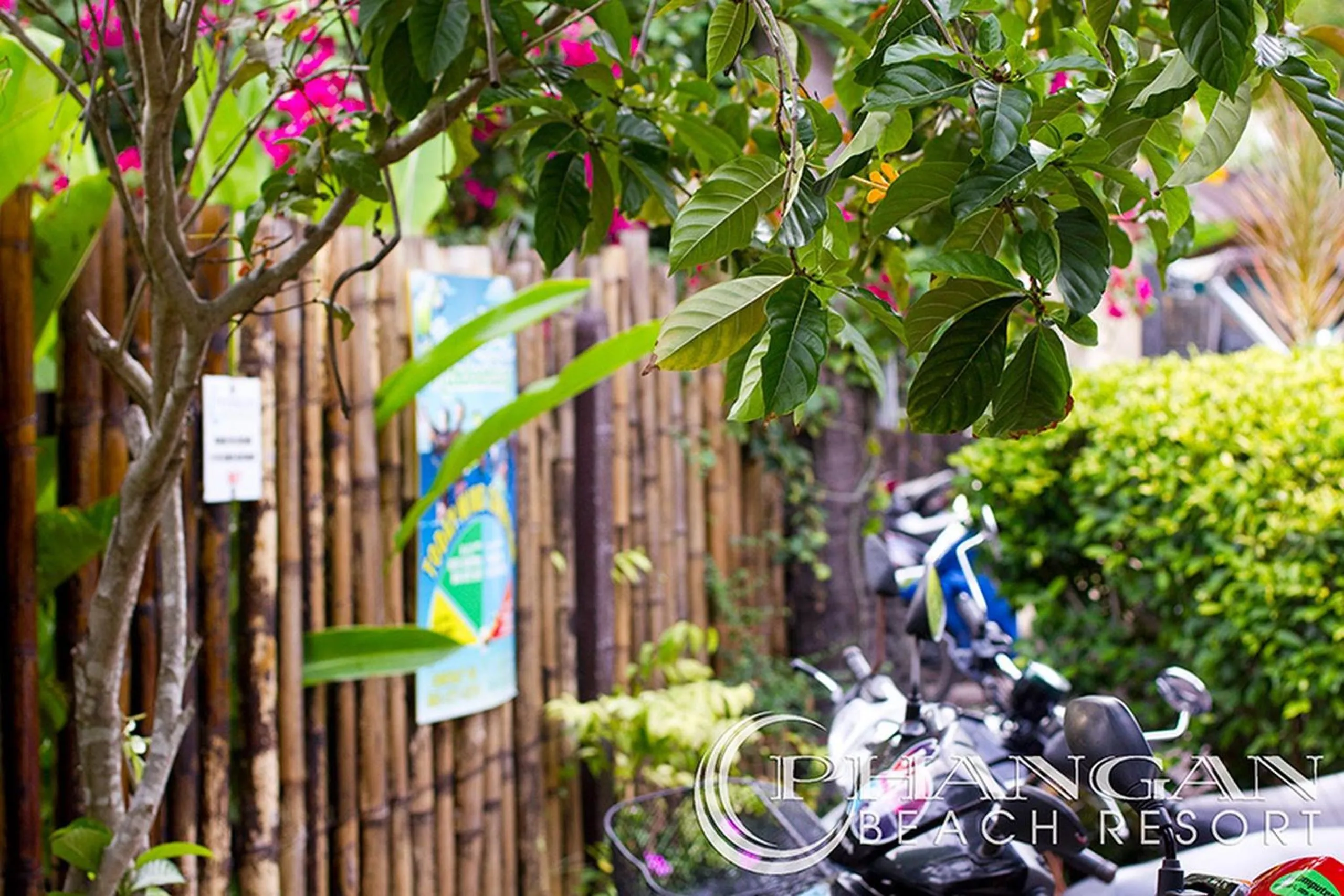 Area and facilities in Phangan Beach Resort