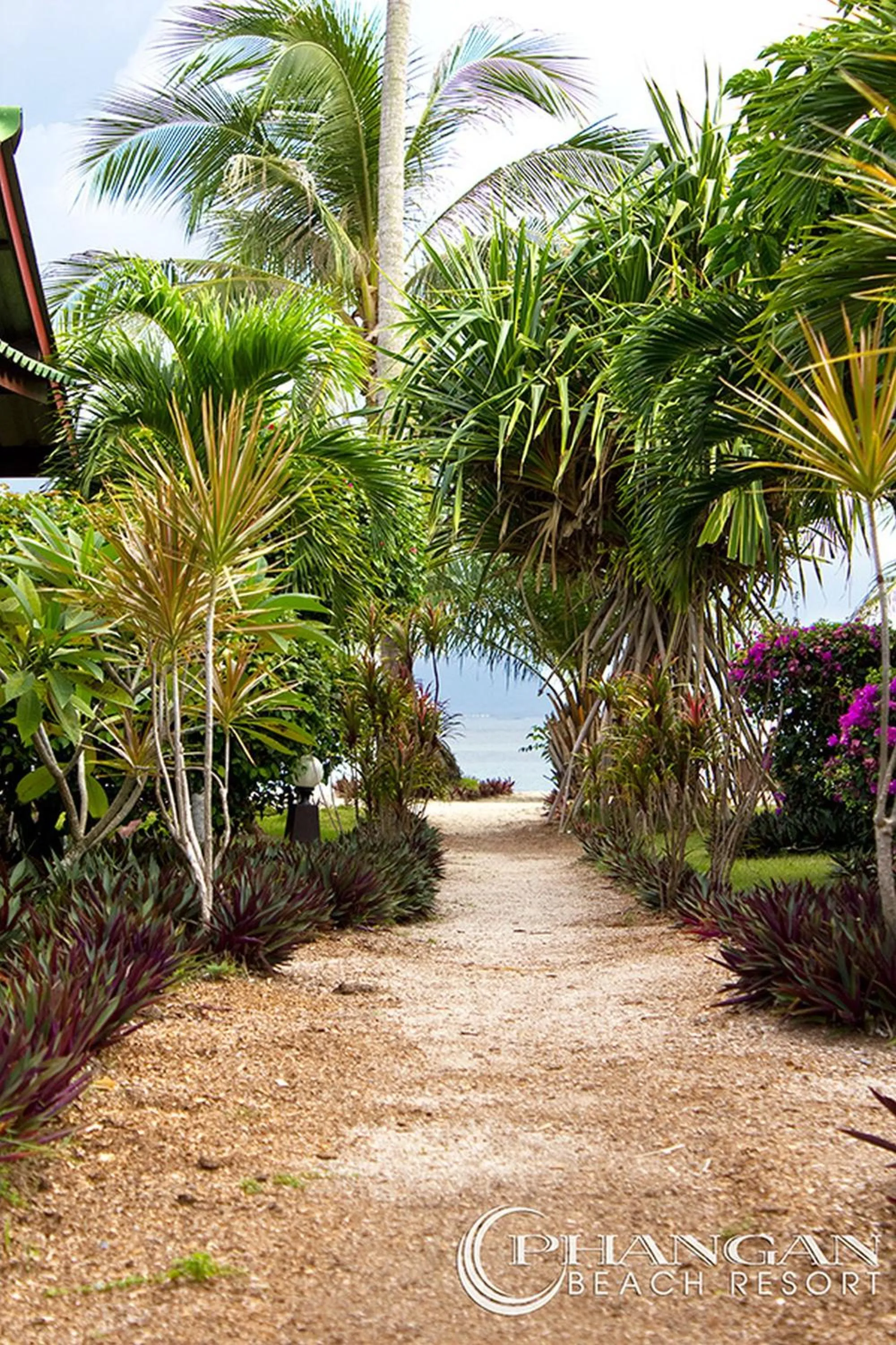 Garden in Phangan Beach Resort