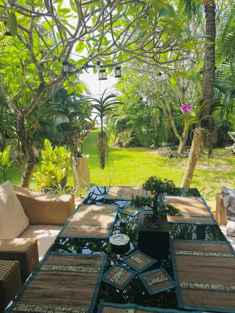 Garden view in Phangan Beach Resort