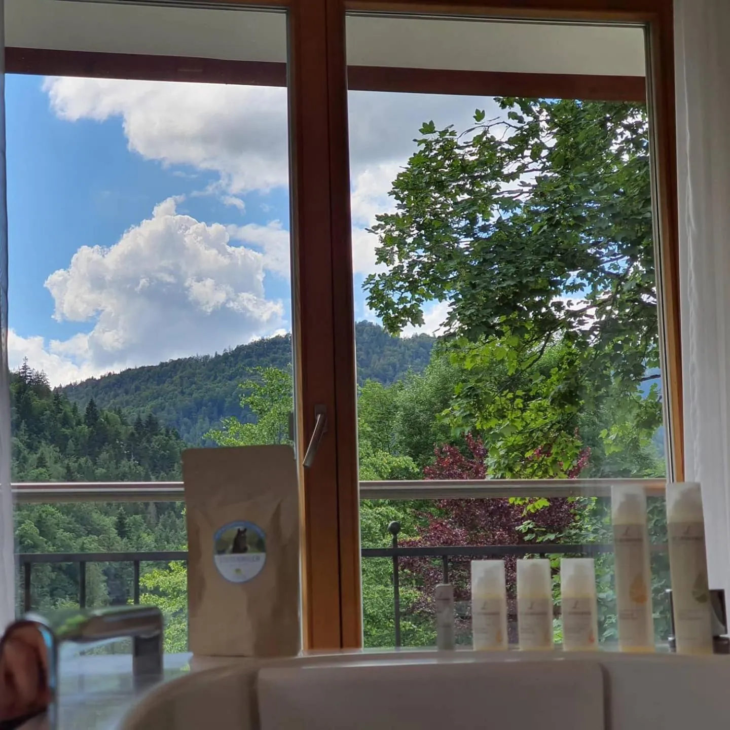 Spa and wellness centre/facilities in Hotel-Gasthof Mauthäusl