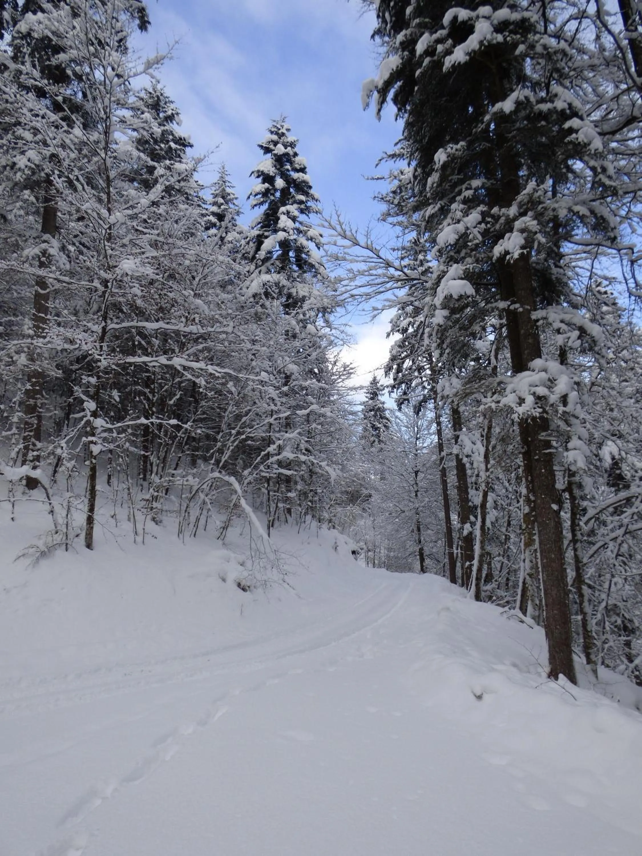 Winter in Hotel-Gasthof Mauthäusl