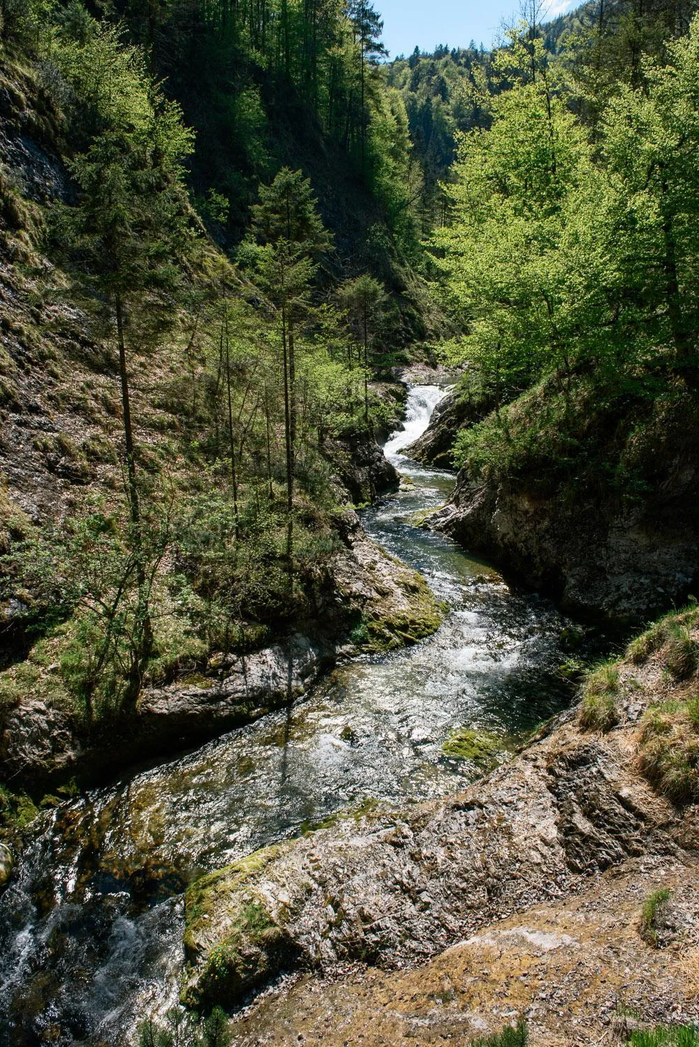 Hiking in Hotel-Gasthof Mauthäusl
