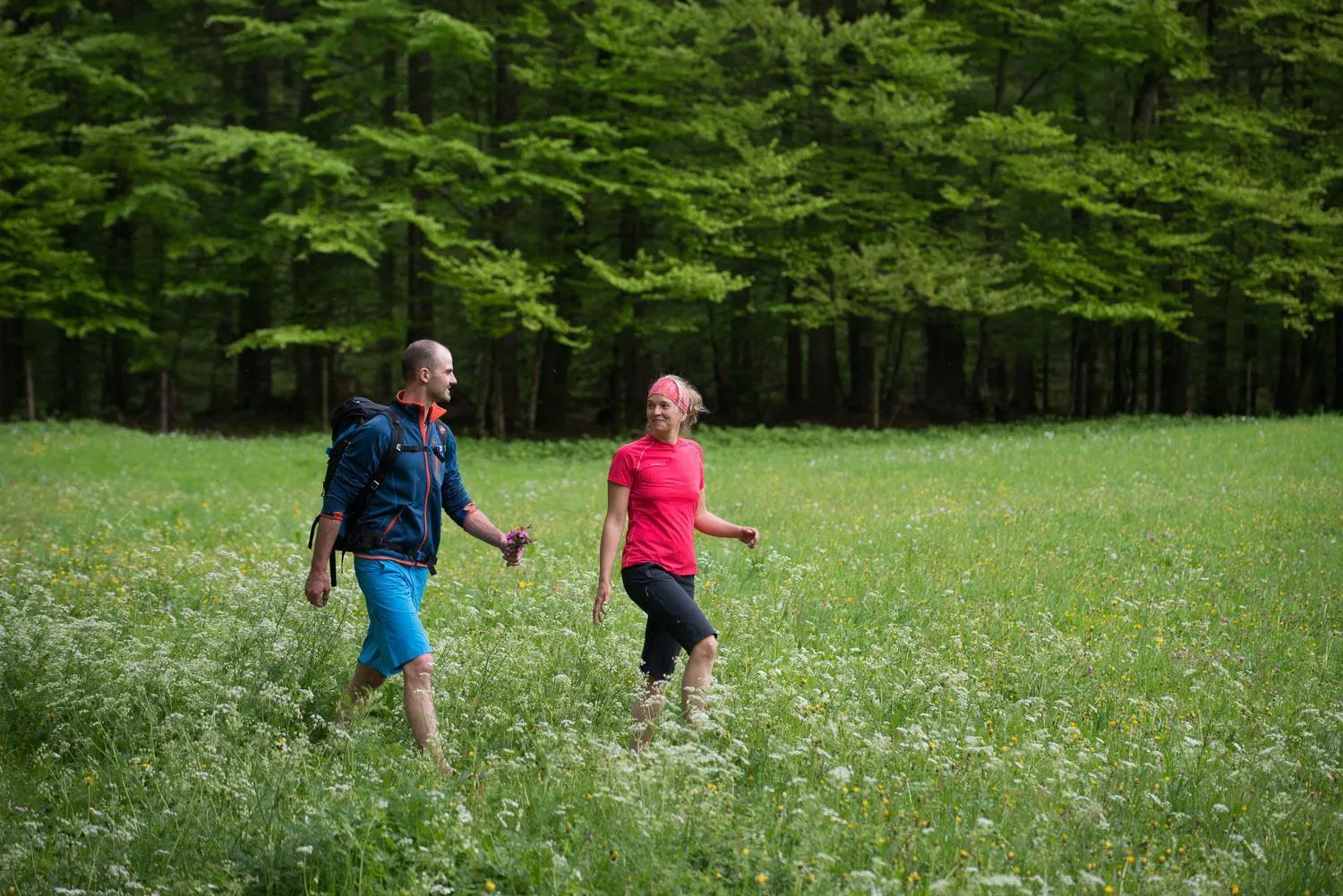 Day in Hotel-Gasthof Mauthäusl