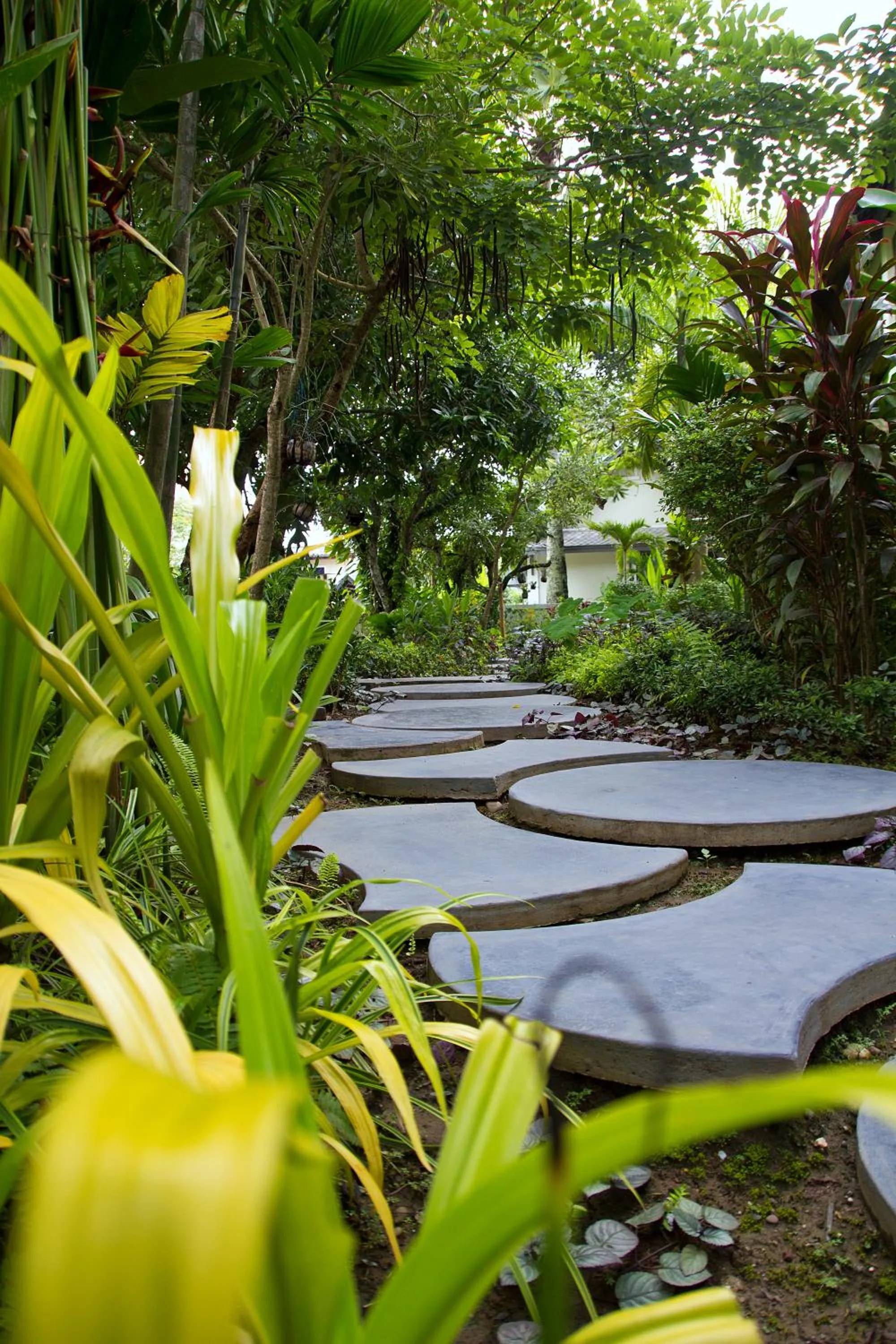Garden in Villa Maly Boutique Hotel