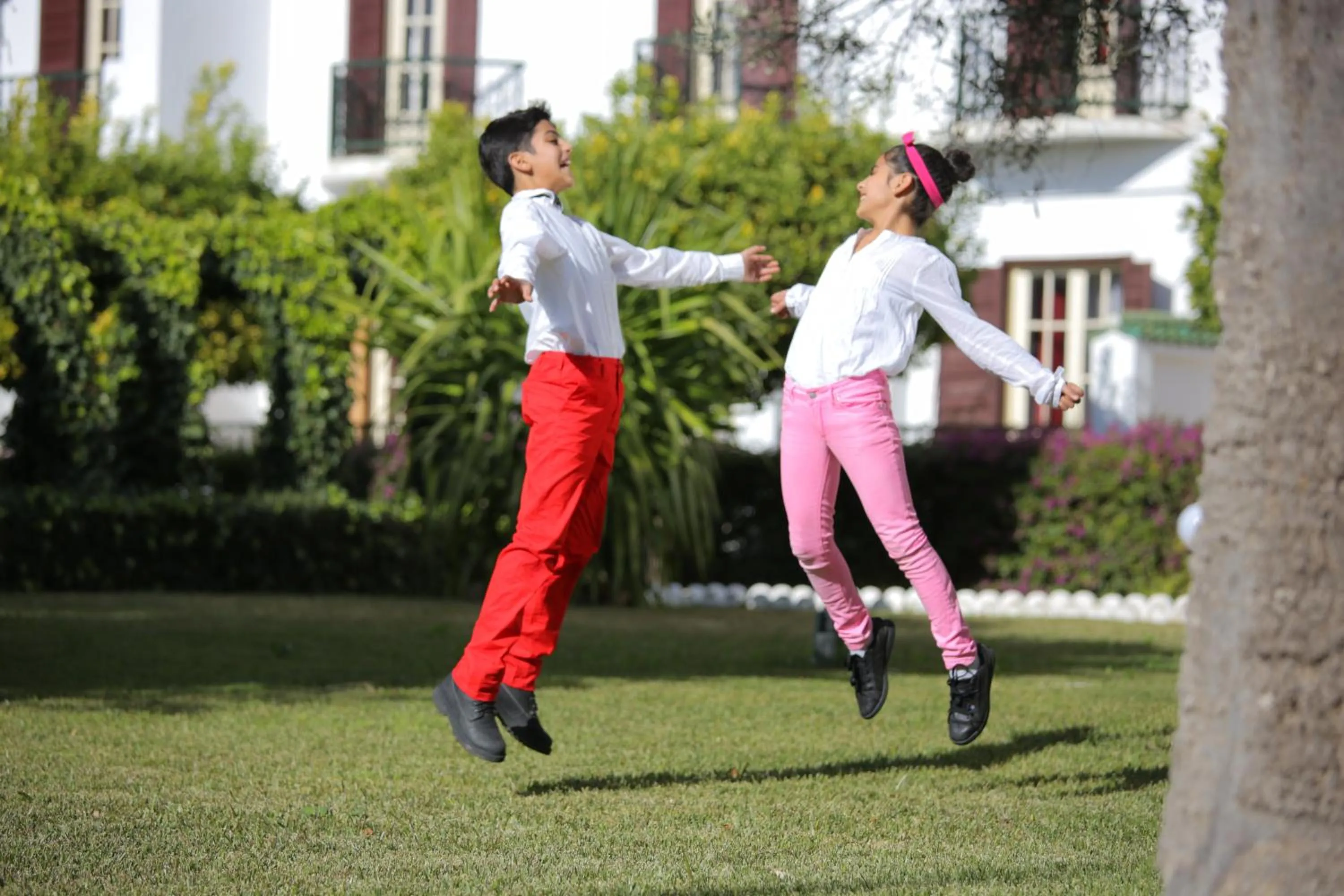 Natural landscape in Hotel Transatlantique