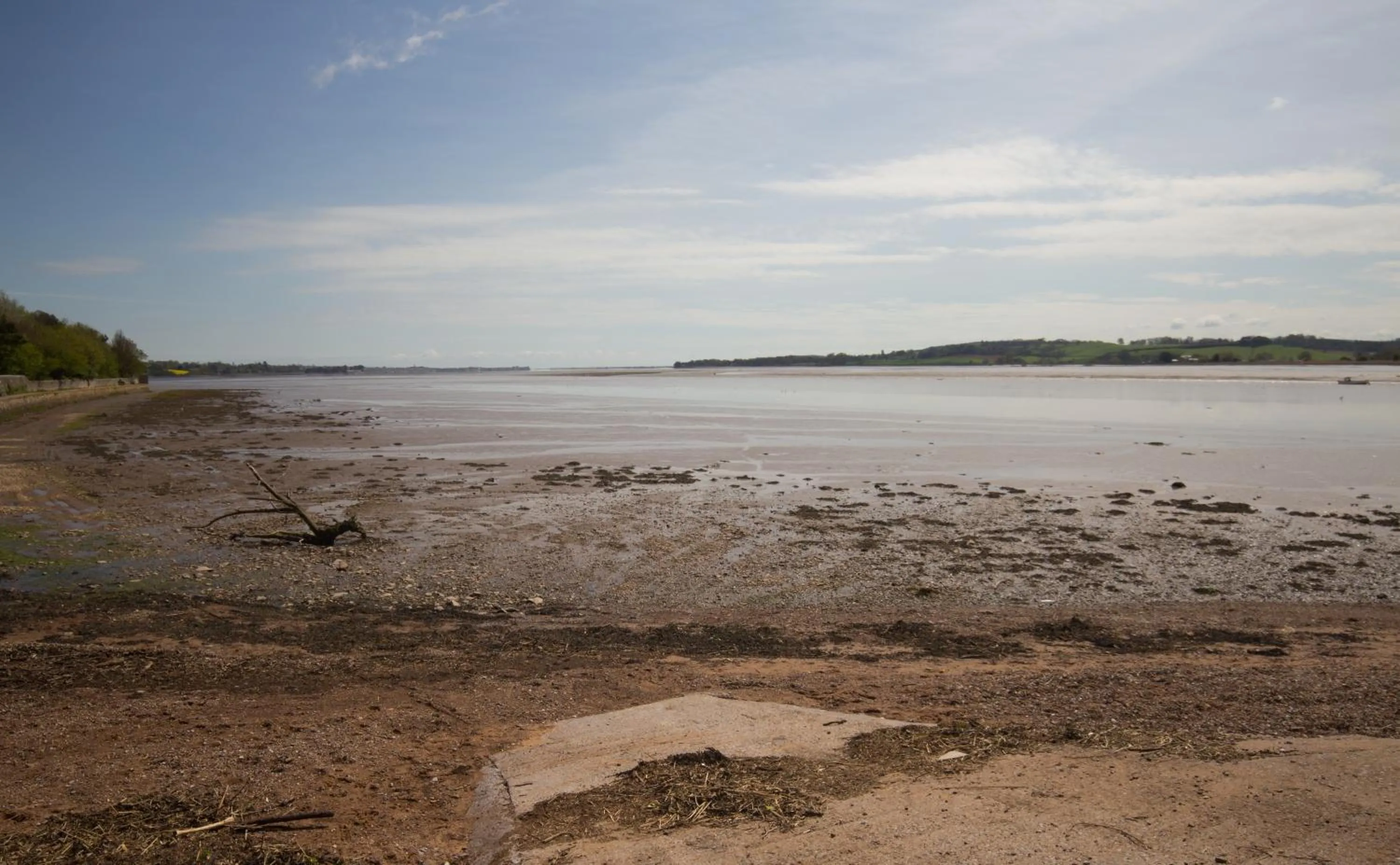 Area and facilities in The Globe